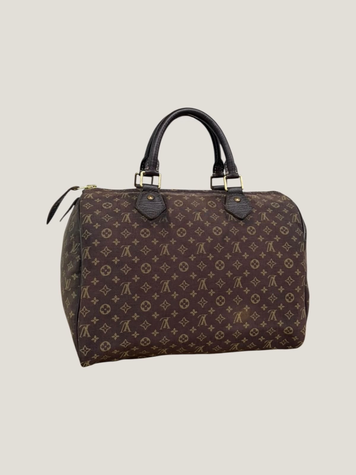 Louis Vuitton Speedy 30 Mini Lin