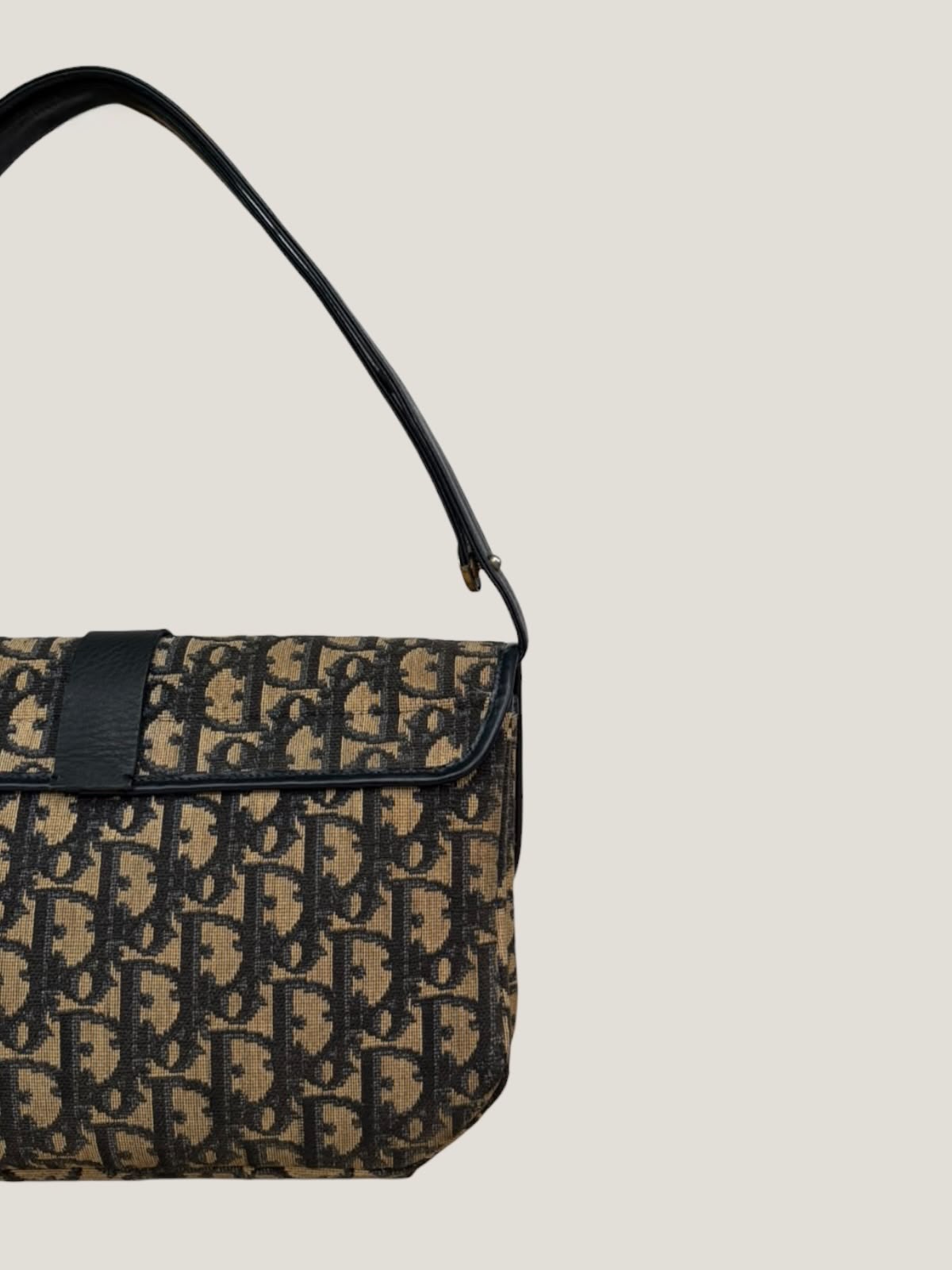 Dior Oblique Flap Bag