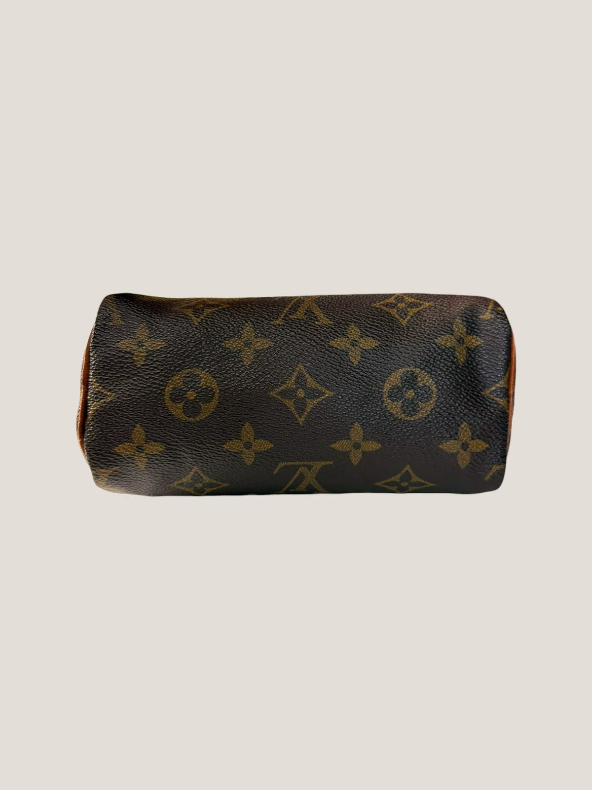 Louis Vuitton Mini Speedy