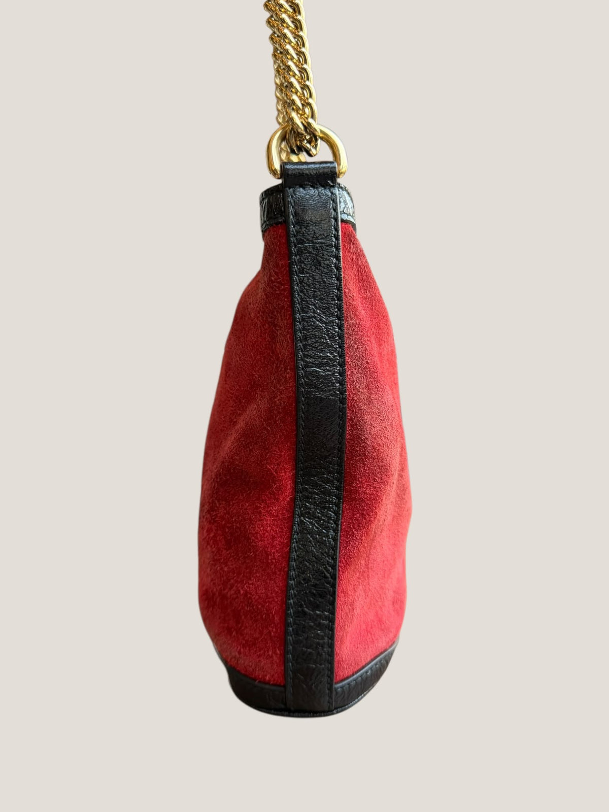 Gucci Dionysus in Camoscio