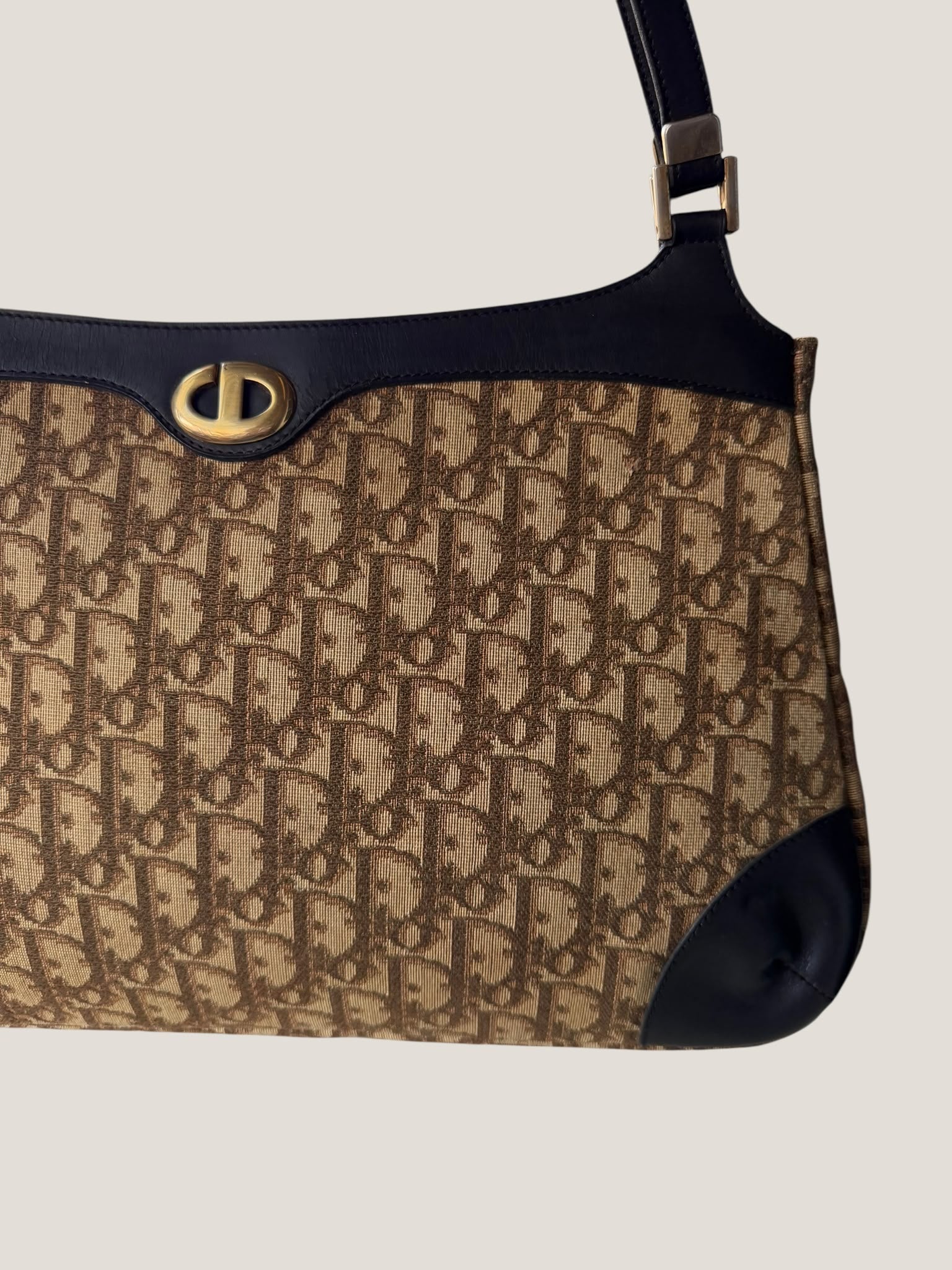 Dior Vintage Oblique Tote