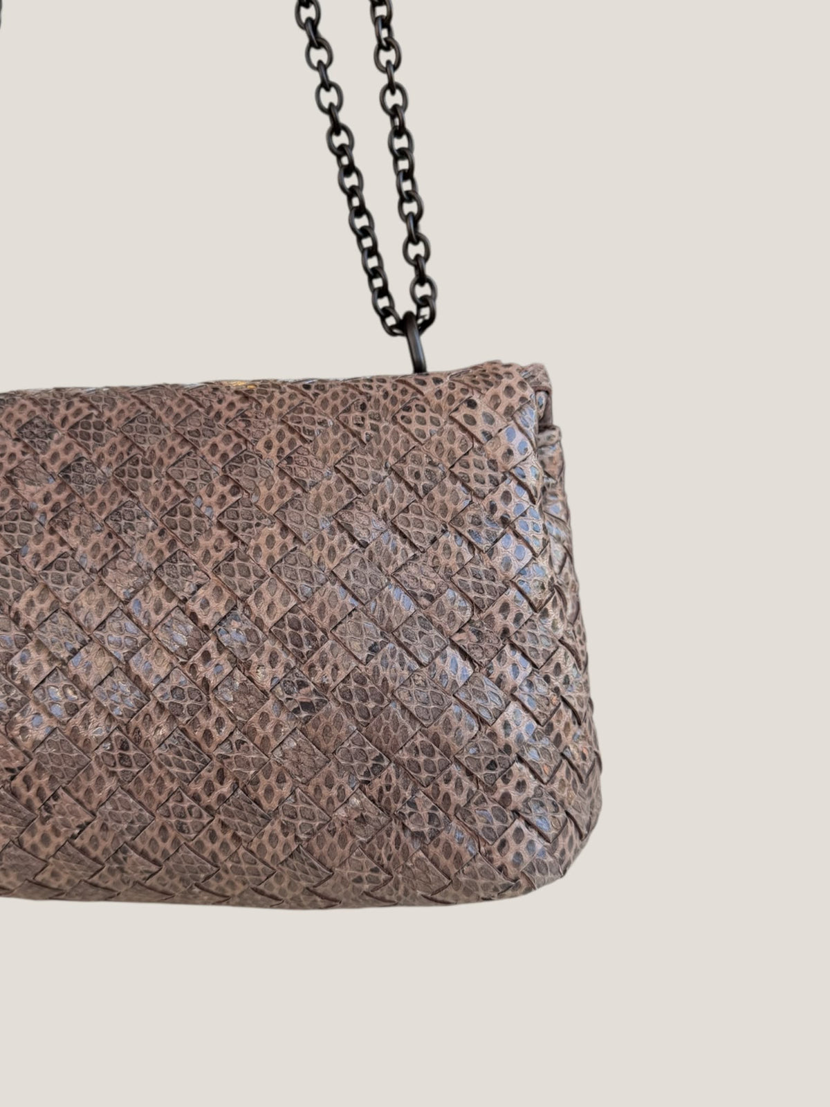 Bottega Veneta Intrecciato Serpente