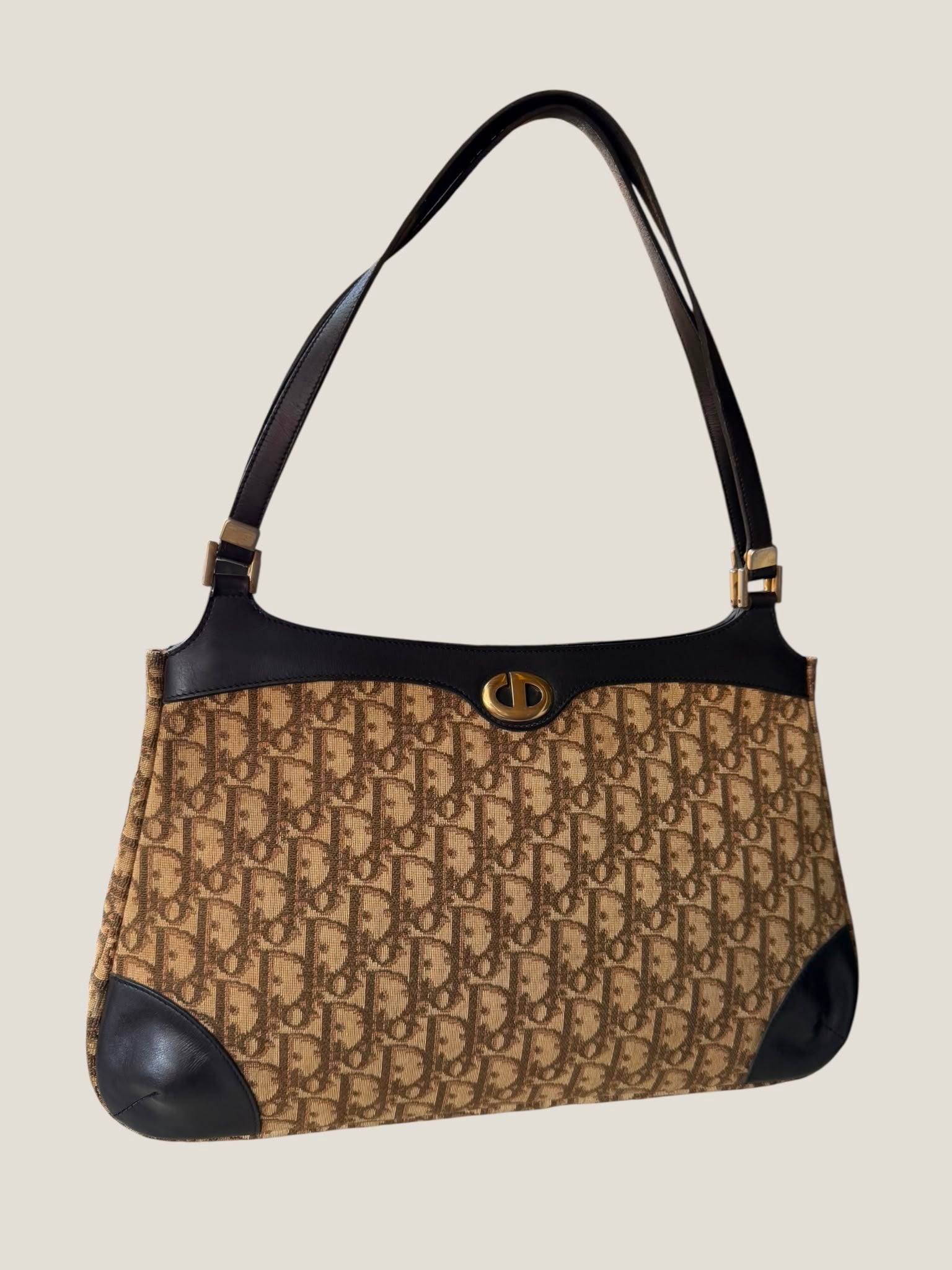 Dior Vintage Oblique Tote