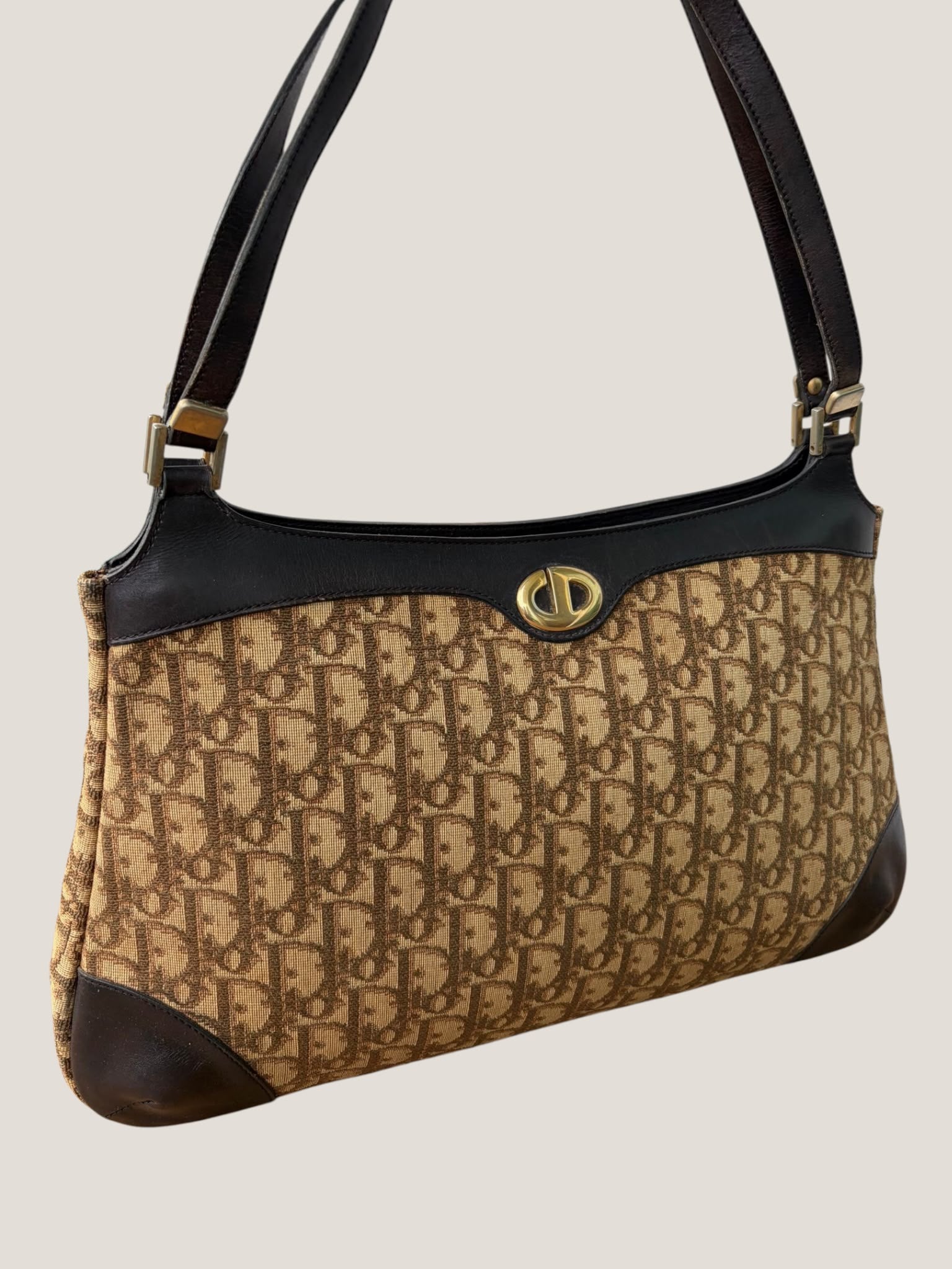 Dior Vintage Oblique Tote