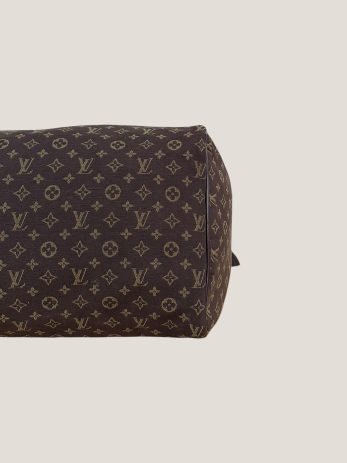 Louis Vuitton Speedy 30 Mini Lin