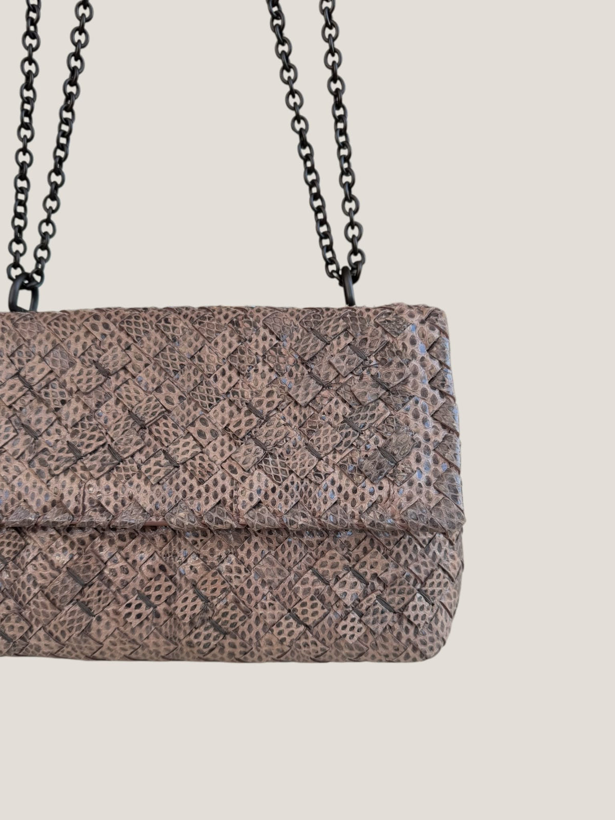 Bottega Veneta Intrecciato Serpente