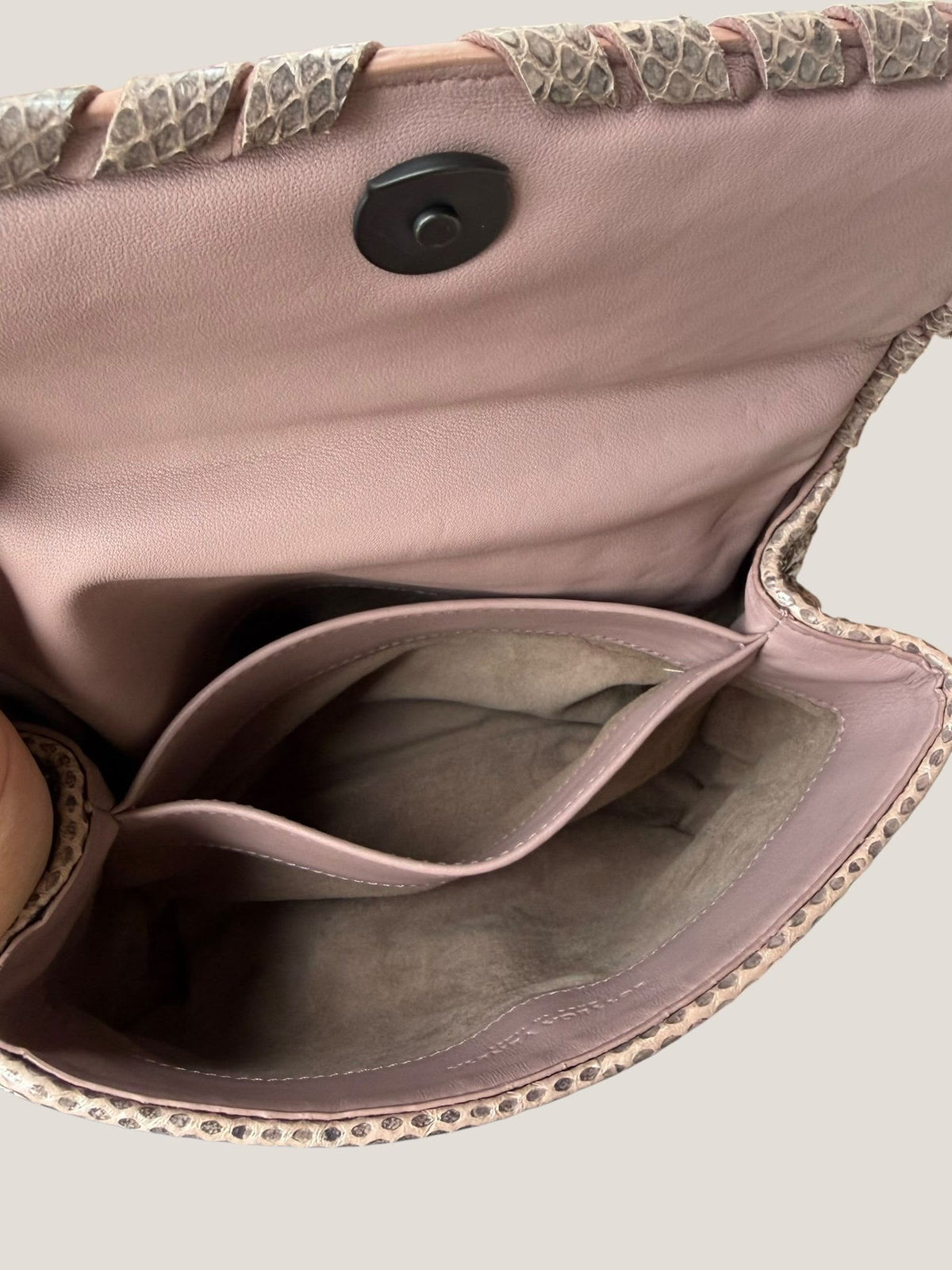 Bottega Veneta Intrecciato Serpente