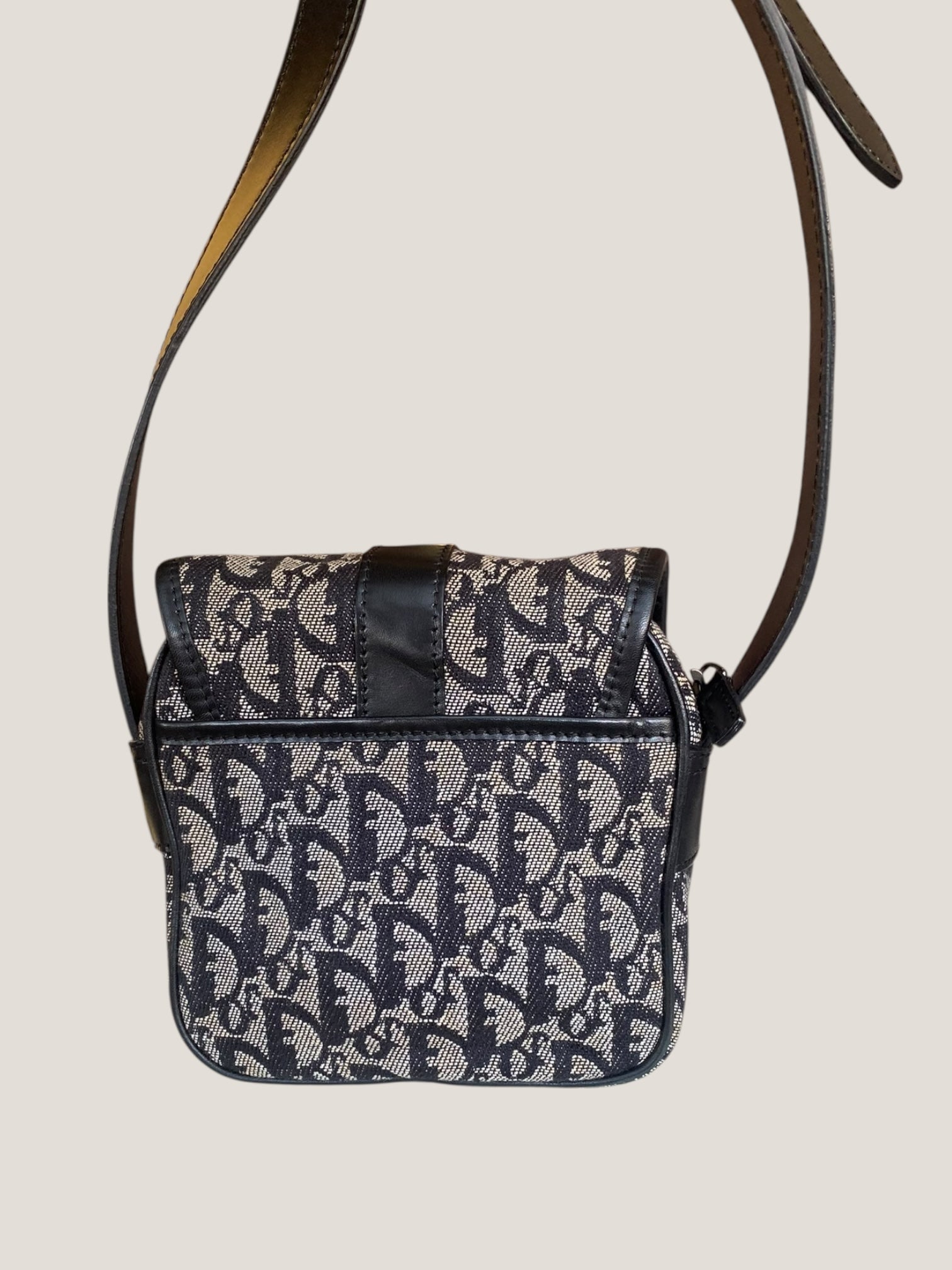 Dior trotter crossbody