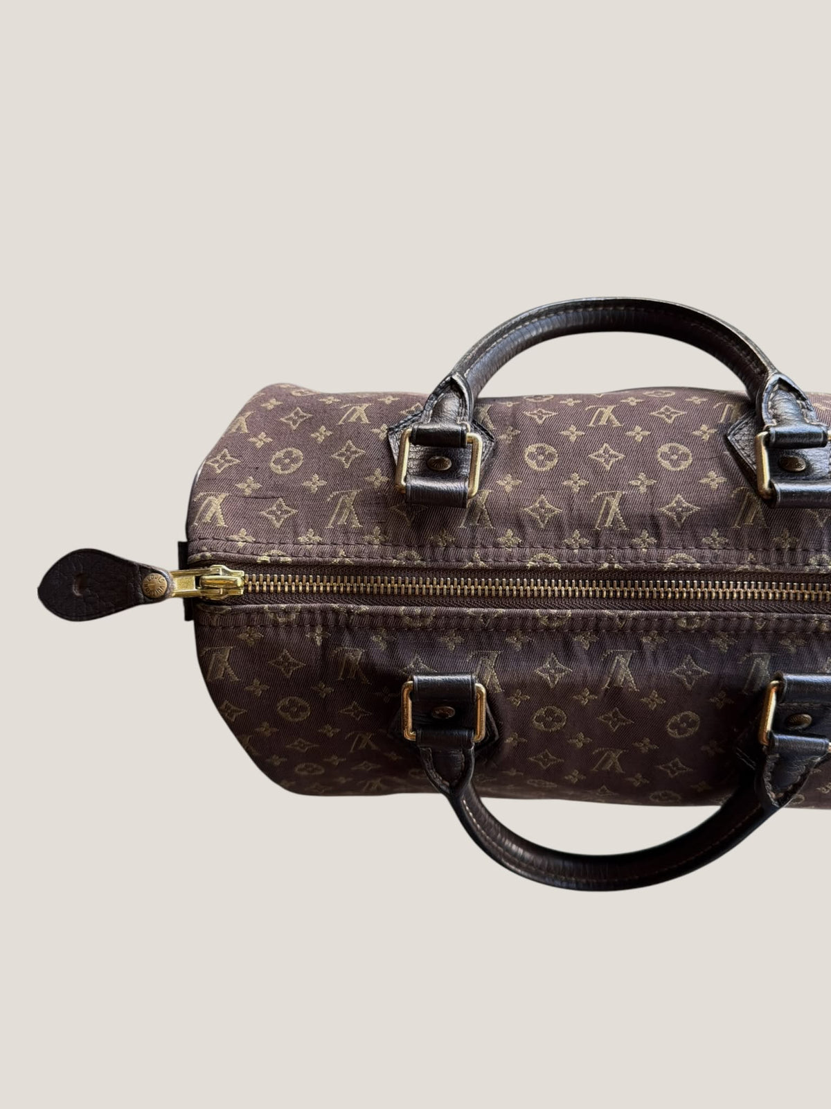 Louis Vuitton Speedy 30 Mini Lin