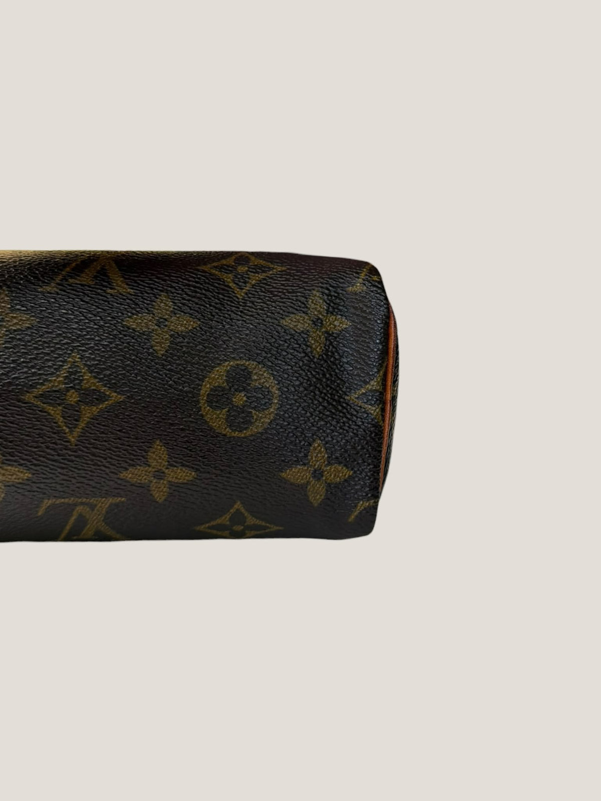 Louis Vuitton Mini Speedy