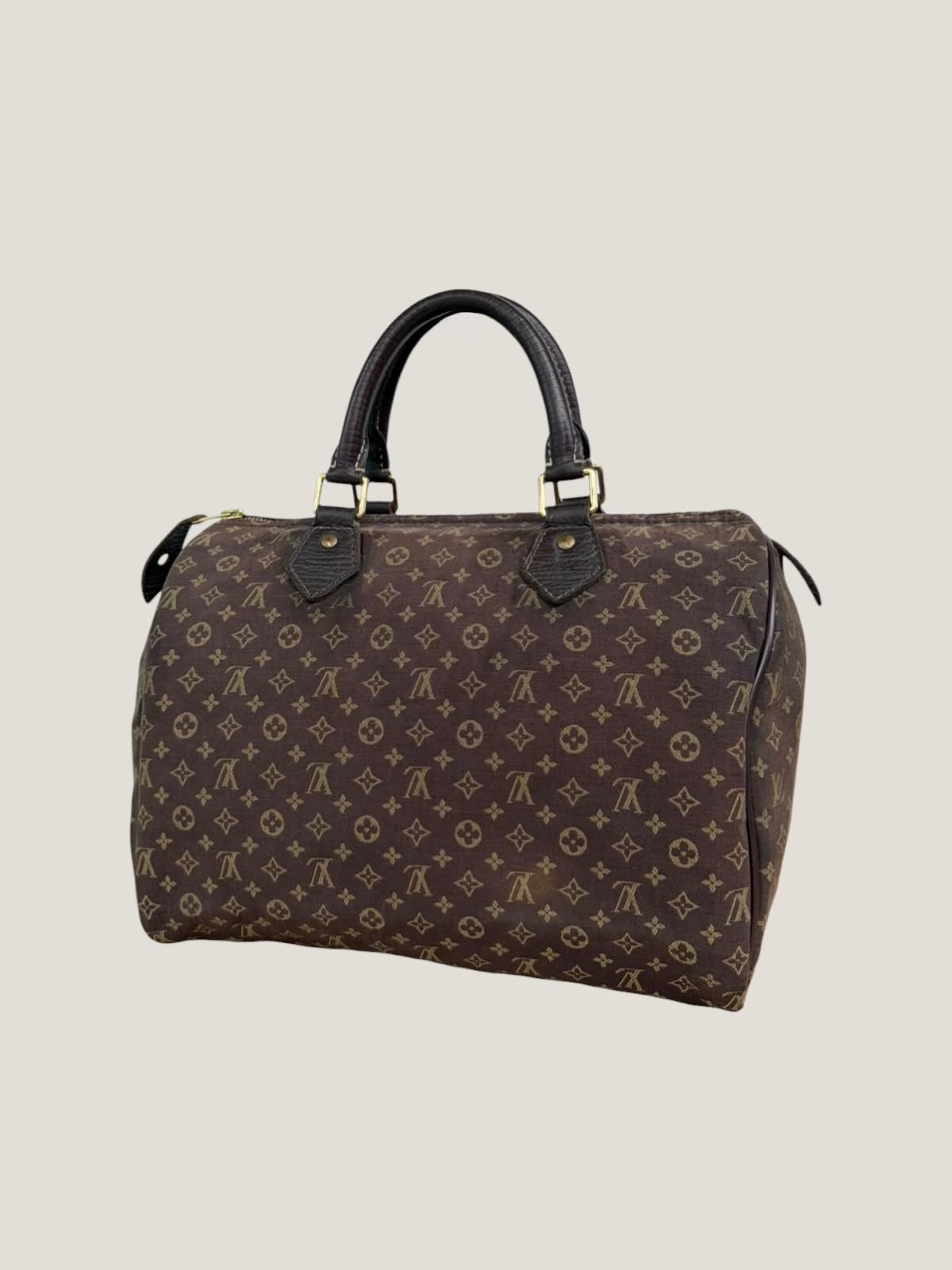 Louis Vuitton Speedy 30 Mini Lin