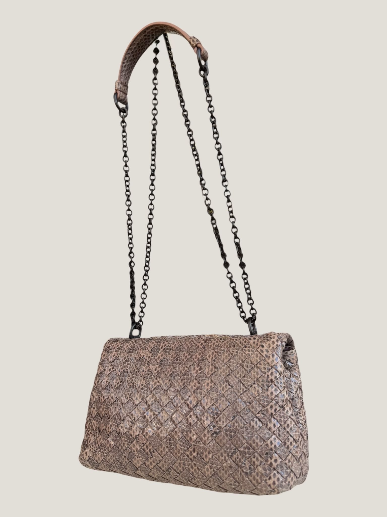Bottega Veneta Intrecciato Serpente
