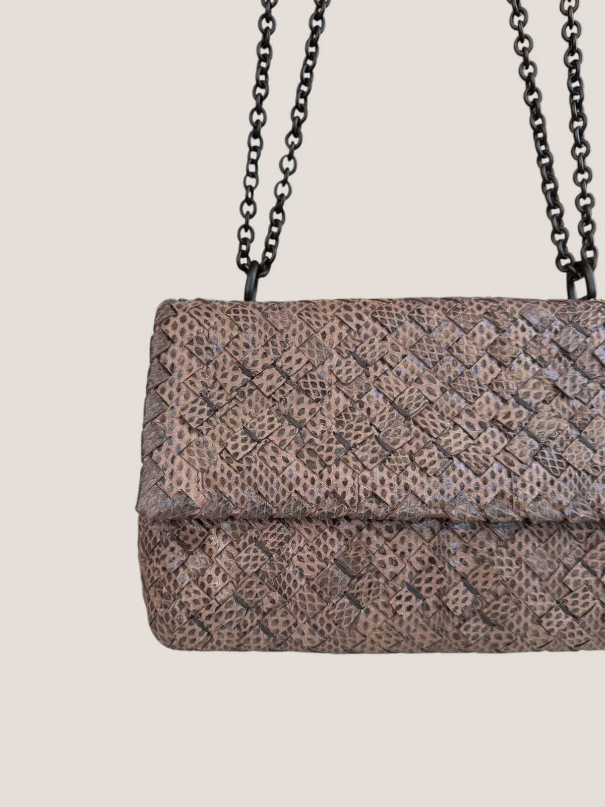 Bottega Veneta Intrecciato Serpente