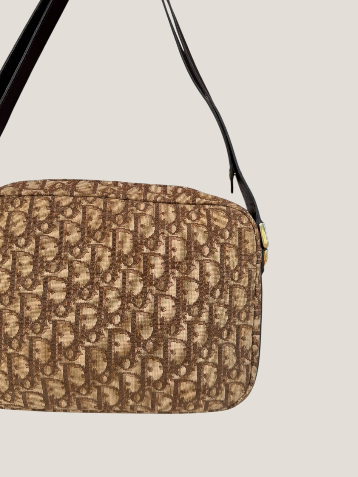Dior Oblique Vintage