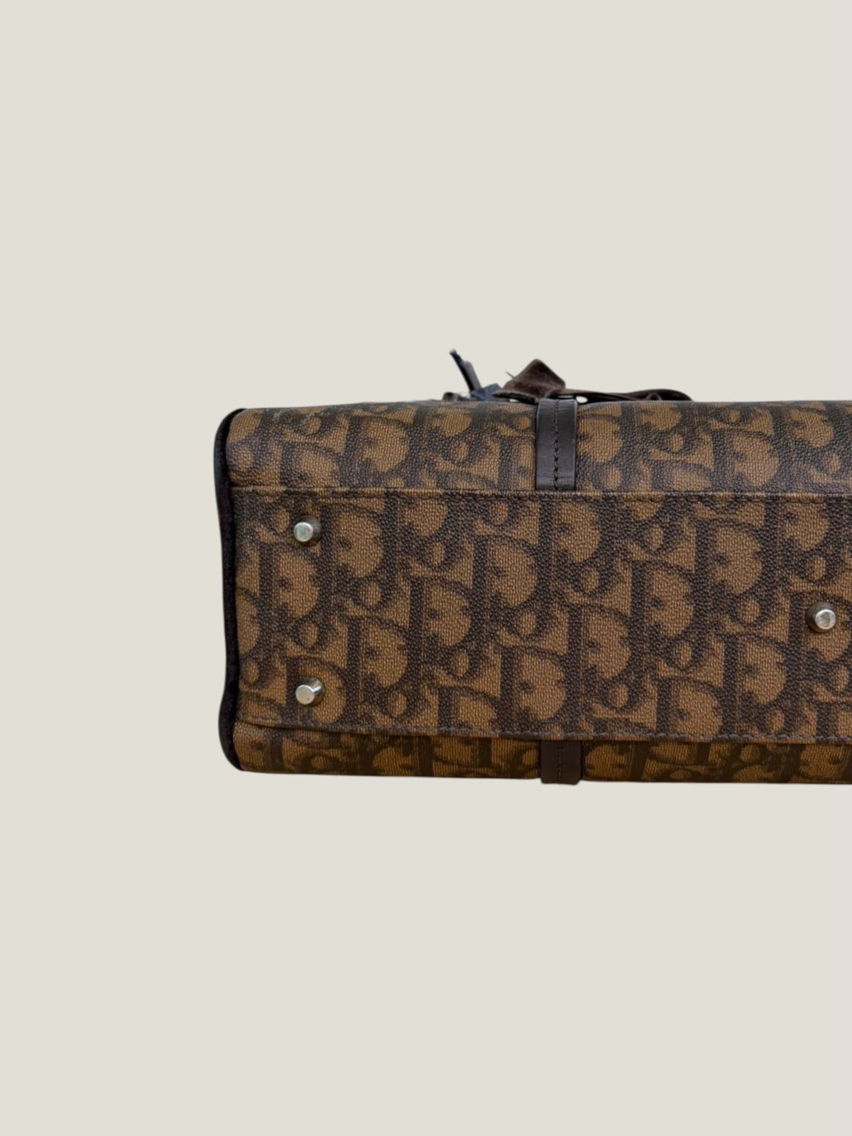 Christian Dior Romantique Trotter Boston Bag