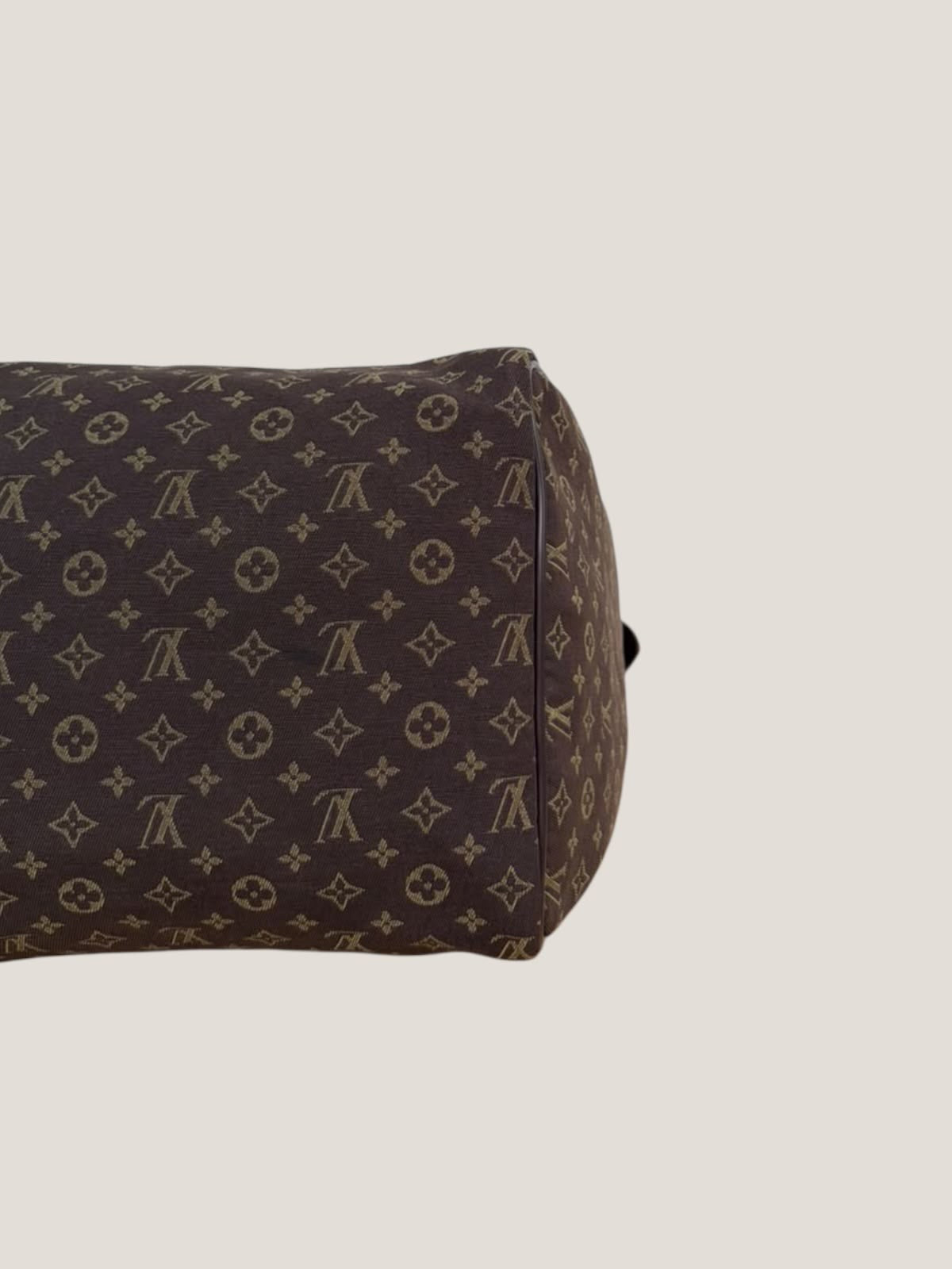 Louis Vuitton Speedy 30 Mini Lin