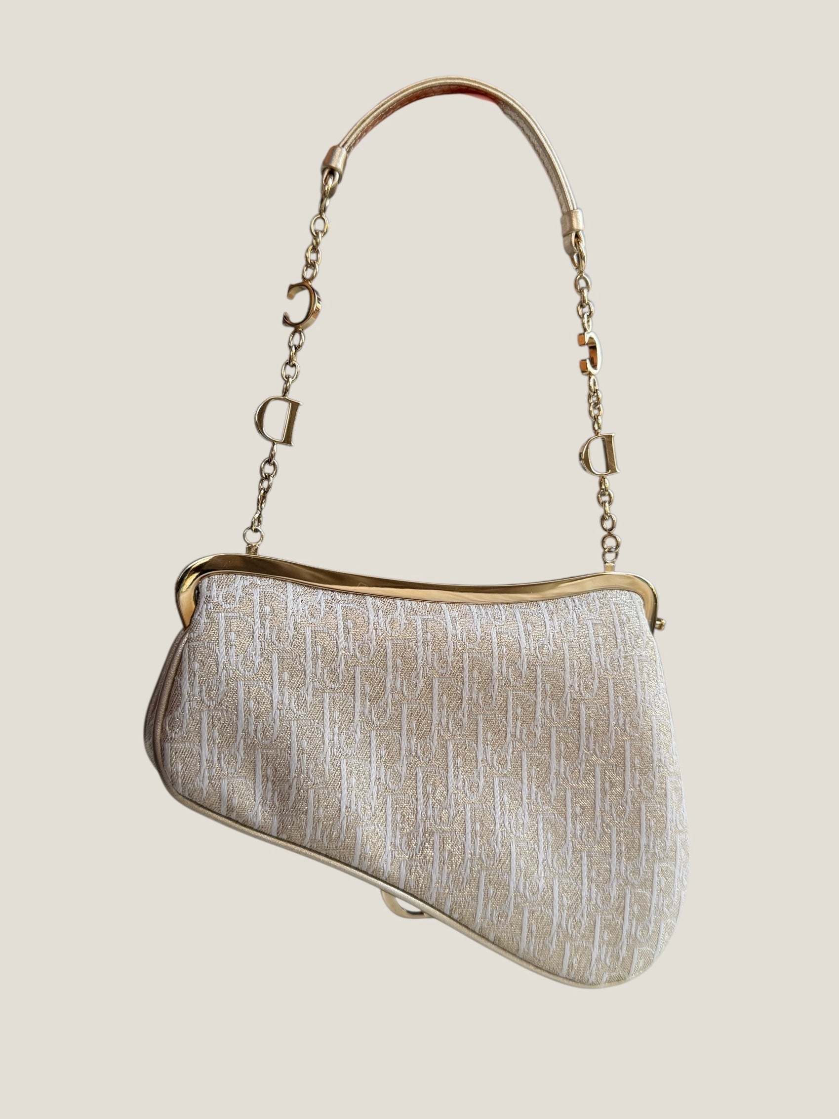 Christian Dior Mini Saddle