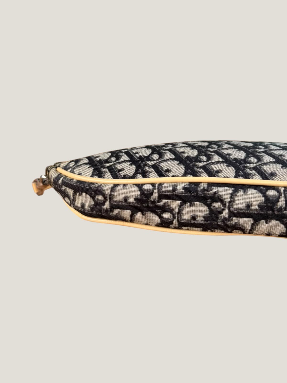 Dior Saddle Pochette