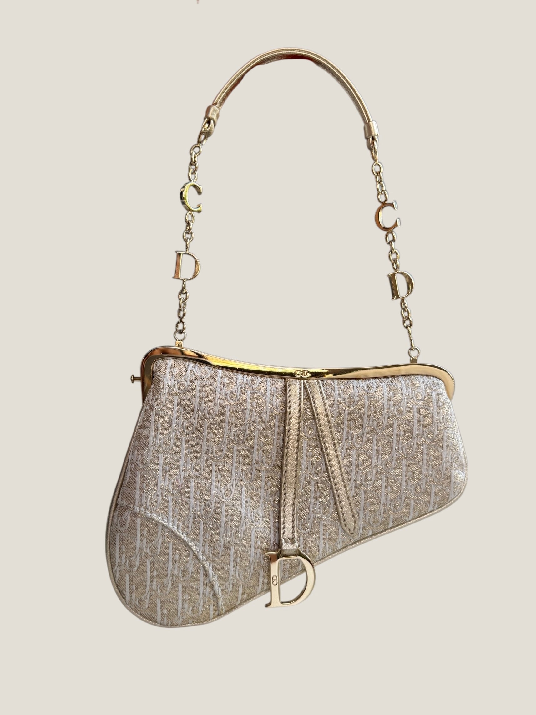 Christian Dior Mini Saddle