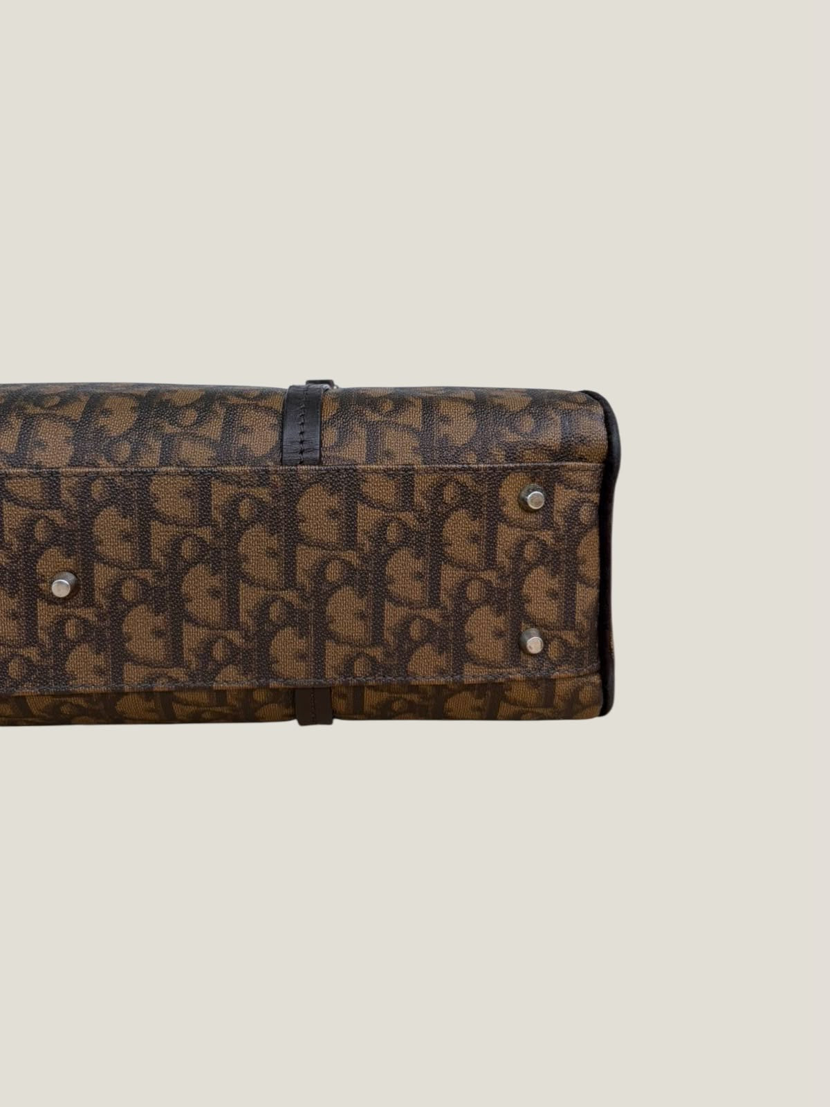 Christian Dior Romantique Trotter Boston Bag