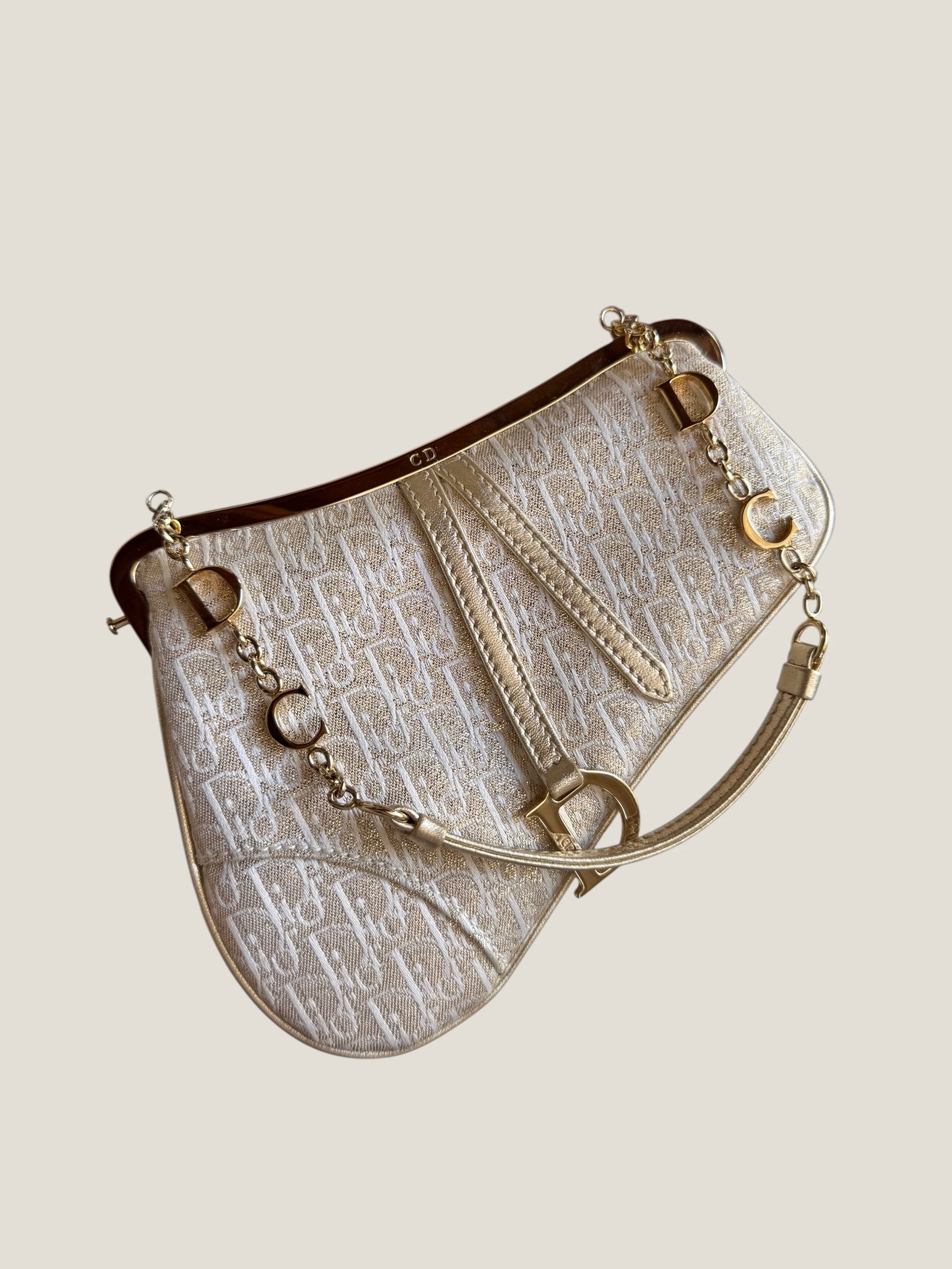 Christian Dior Mini Saddle