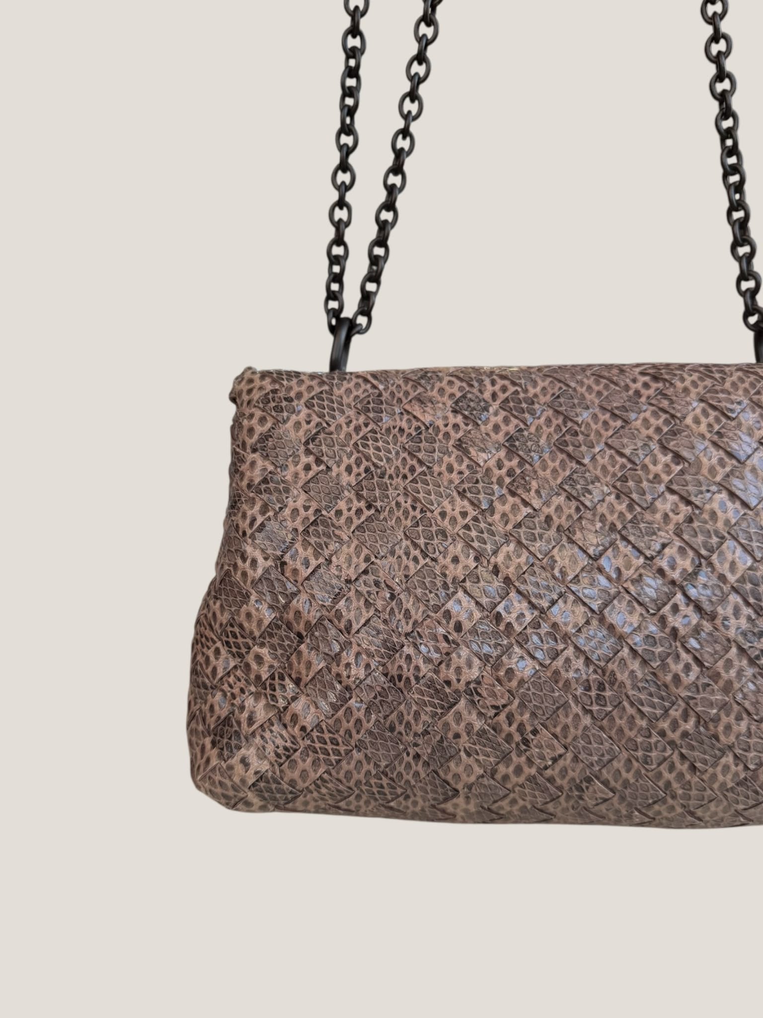Bottega Veneta Intrecciato Serpente