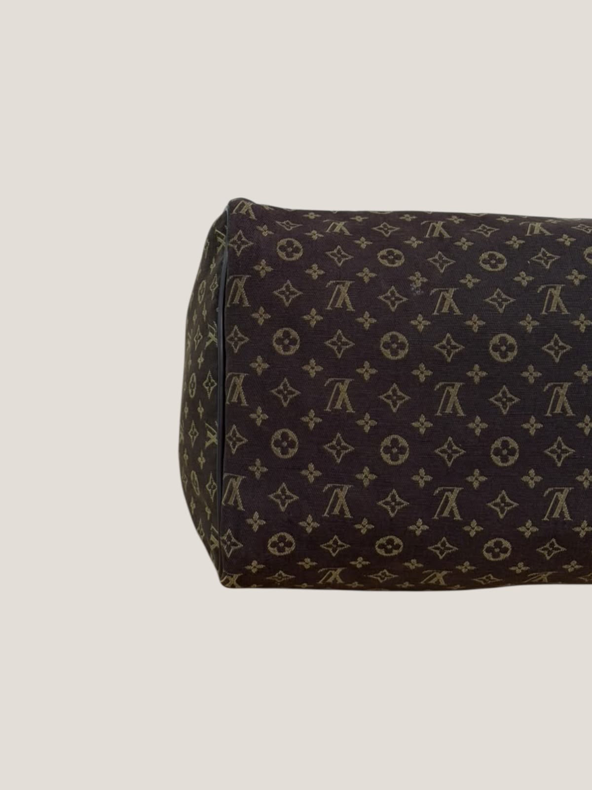Louis Vuitton Speedy 30 Mini Lin
