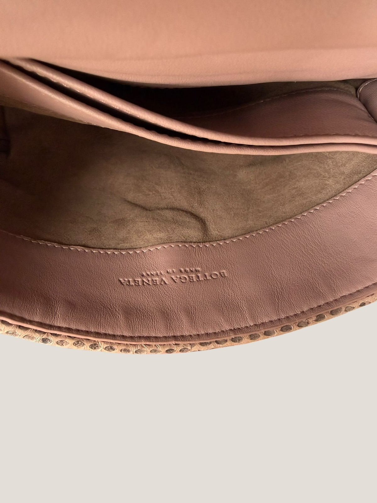 Bottega Veneta Intrecciato Serpente