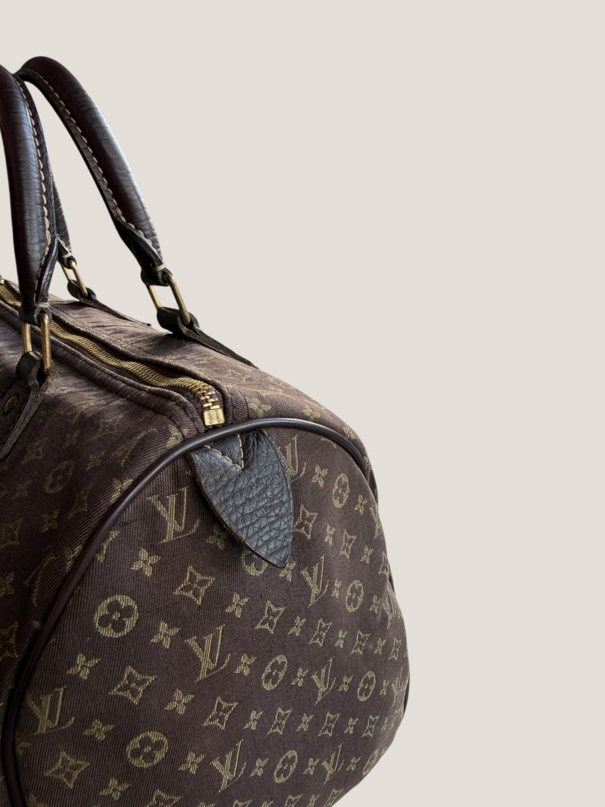 Louis Vuitton Speedy 30 Mini Lin