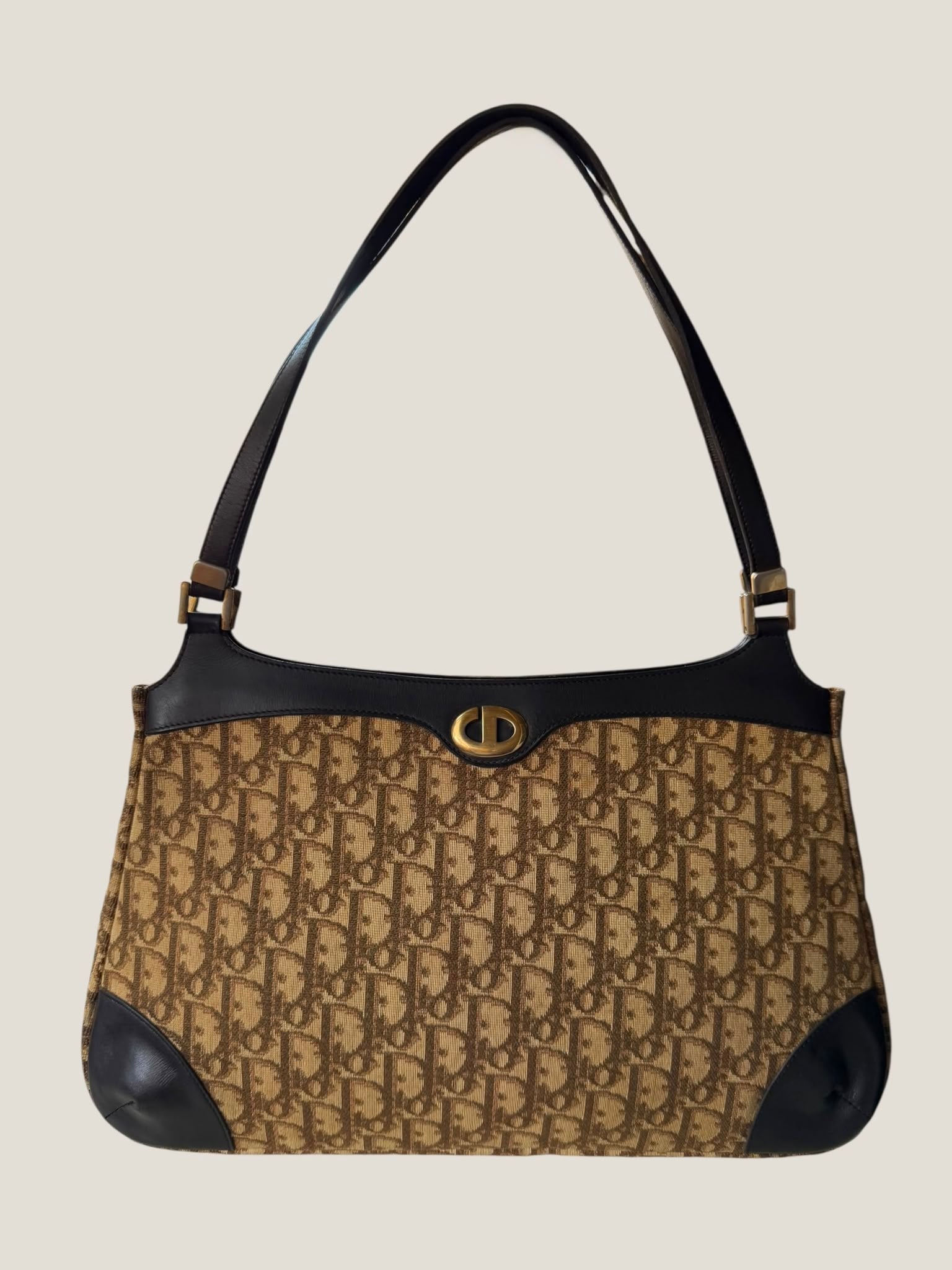 Dior Vintage Oblique Tote