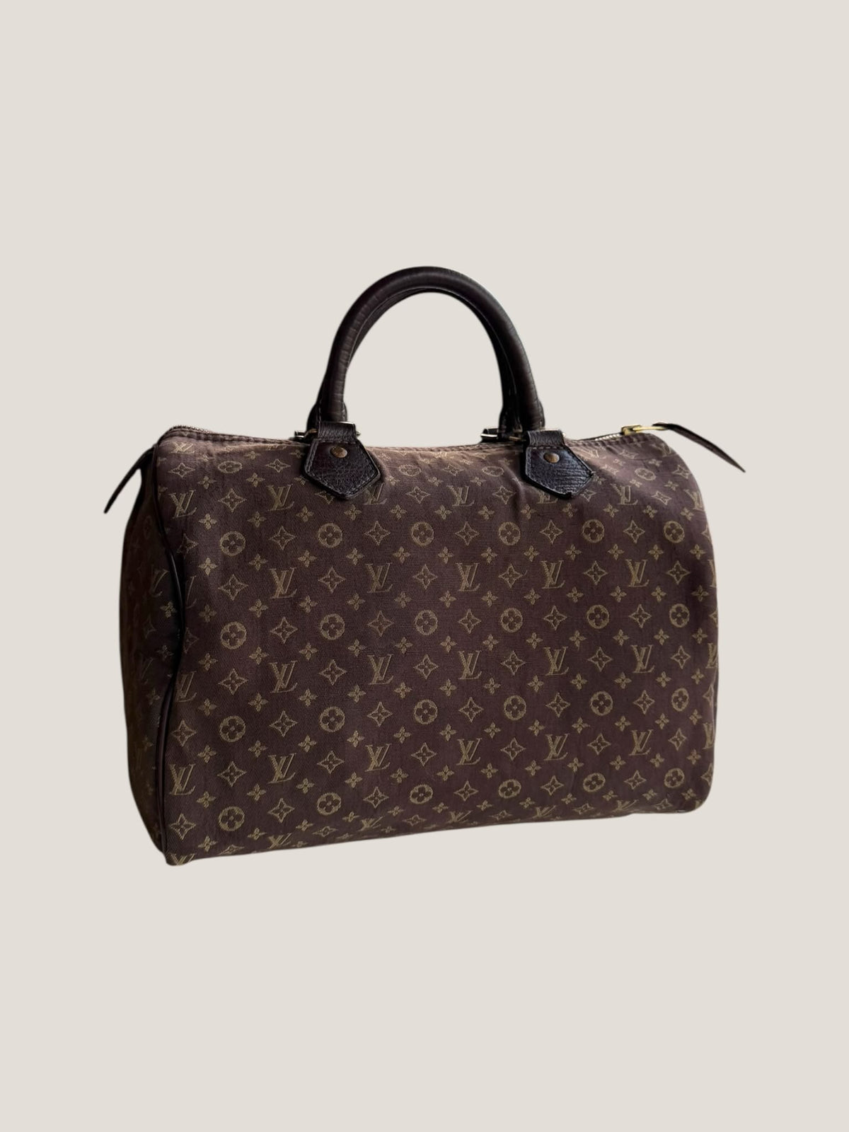 Louis Vuitton Speedy 30 Mini Lin