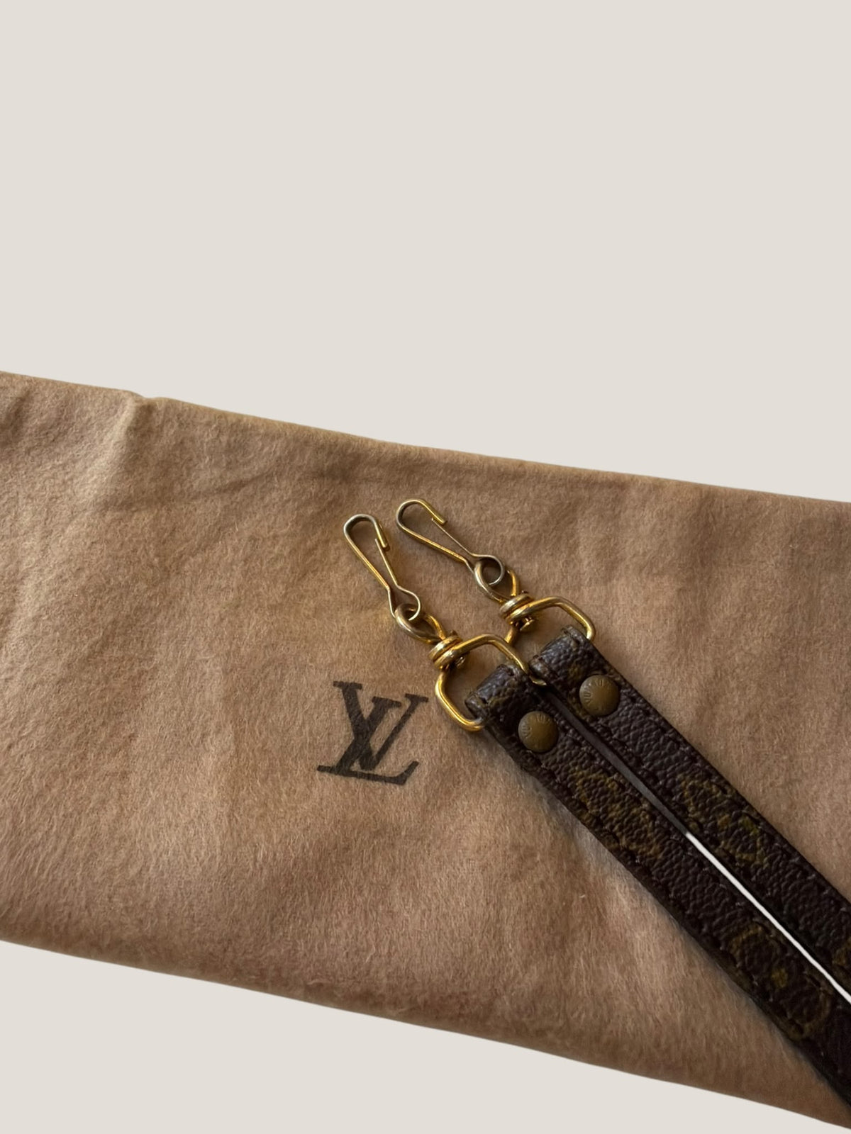 Louis Vuitton Mini Speedy
