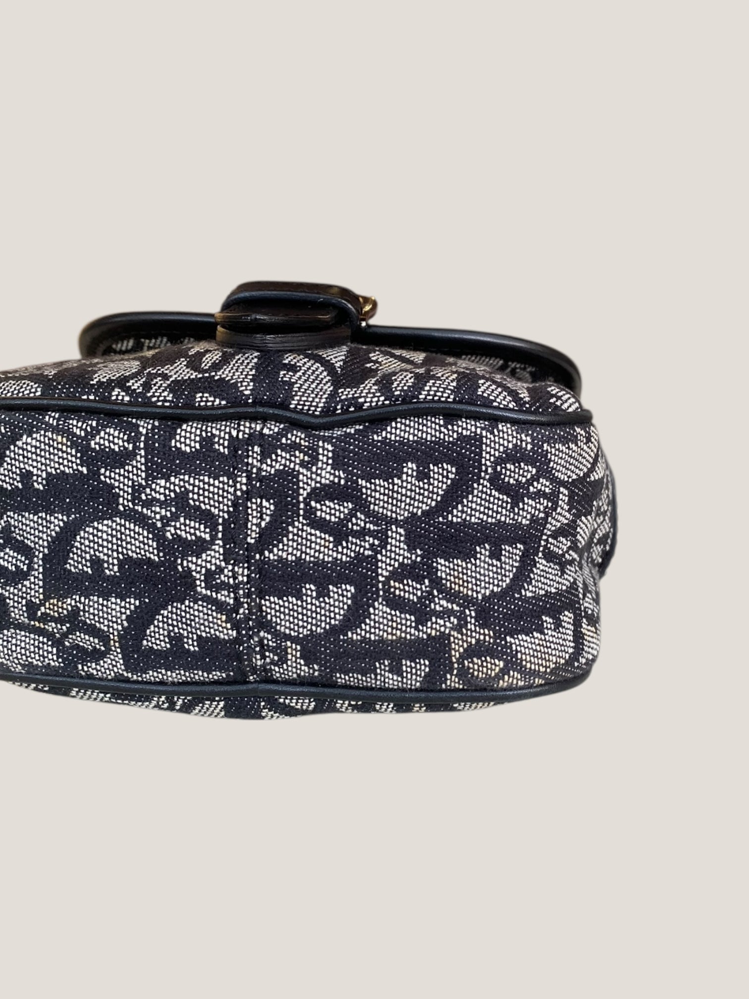 Dior trotter crossbody