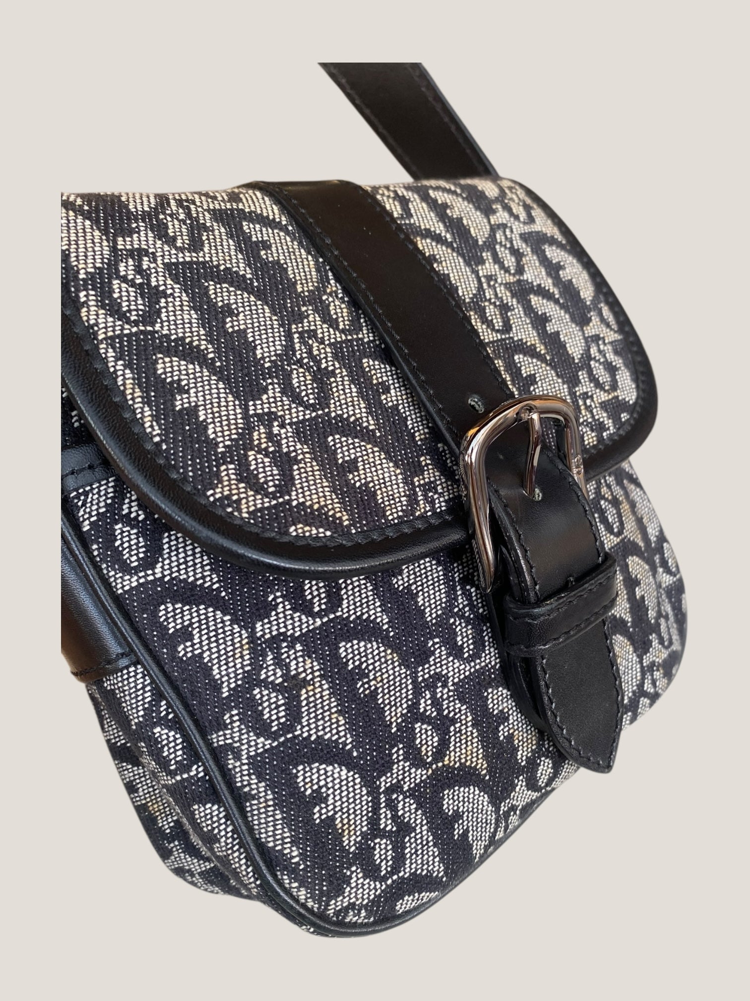 Dior trotter crossbody