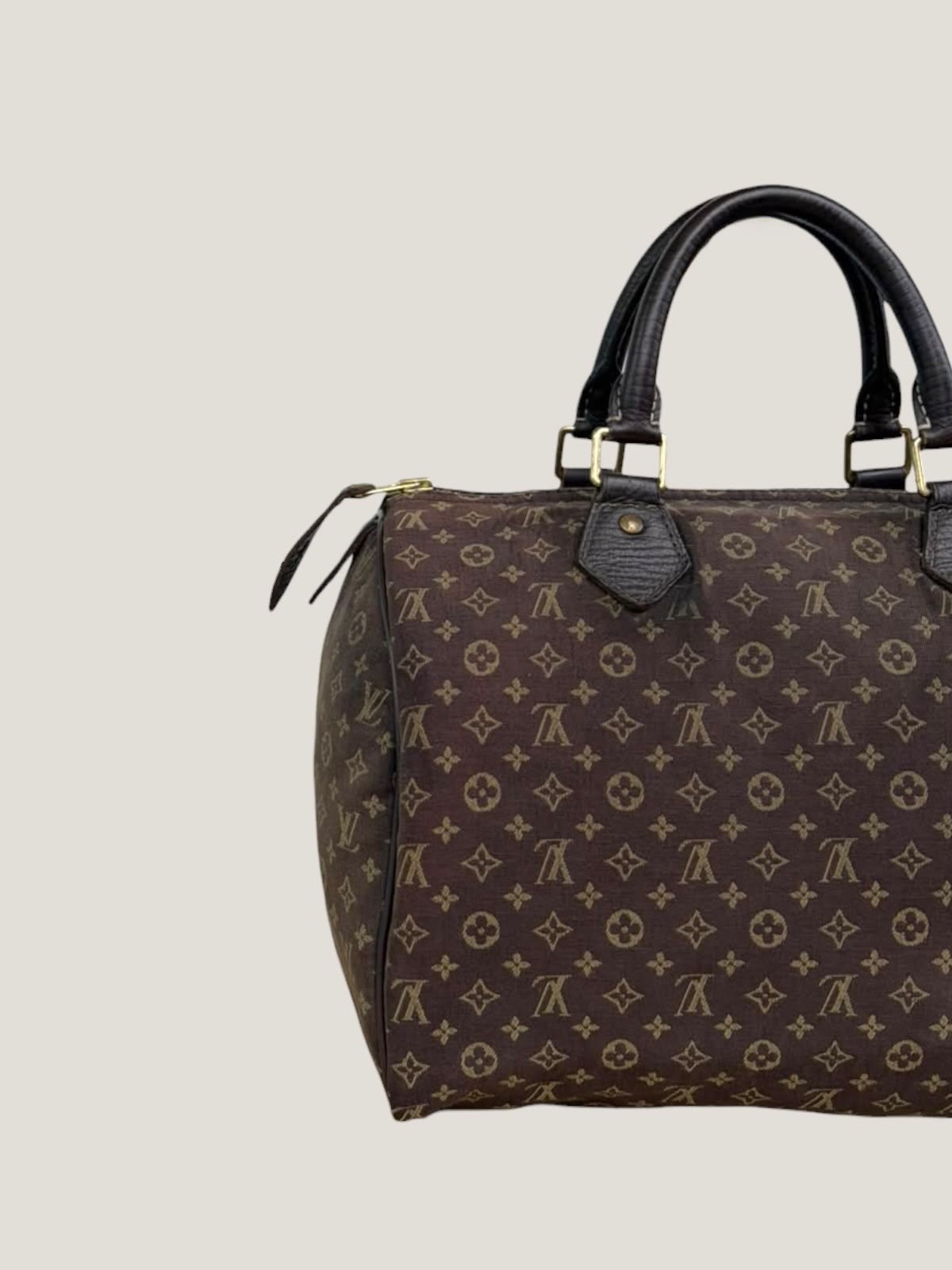 Louis Vuitton Speedy 30 Mini Lin