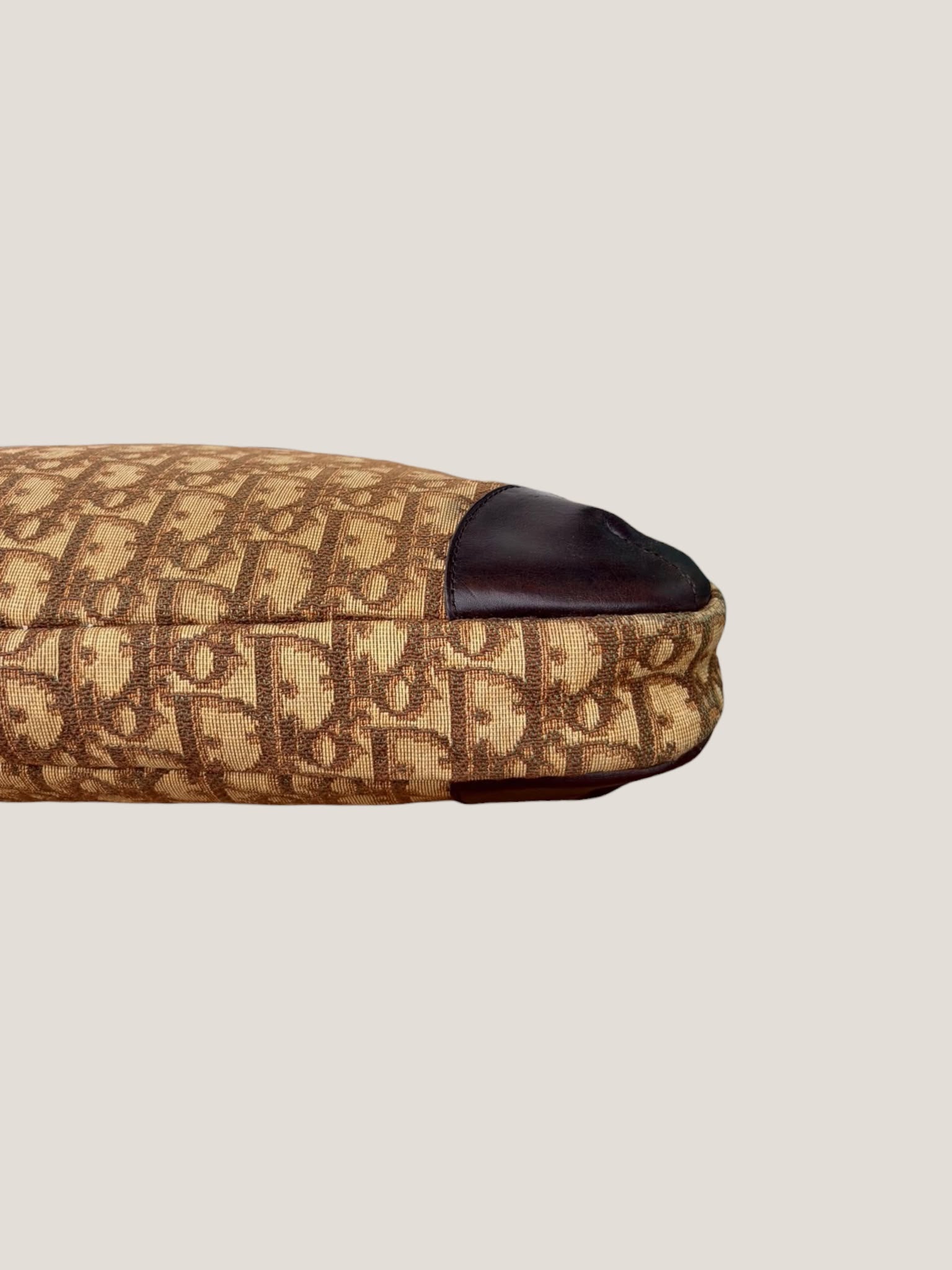 Dior Vintage Oblique Tote