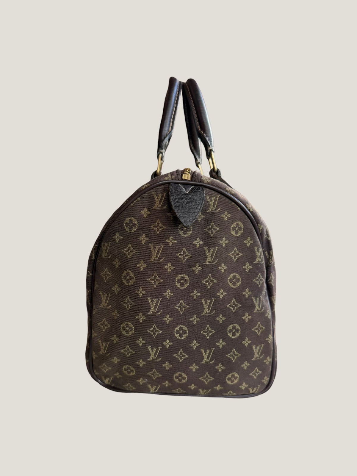 Louis Vuitton Speedy 30 Mini Lin