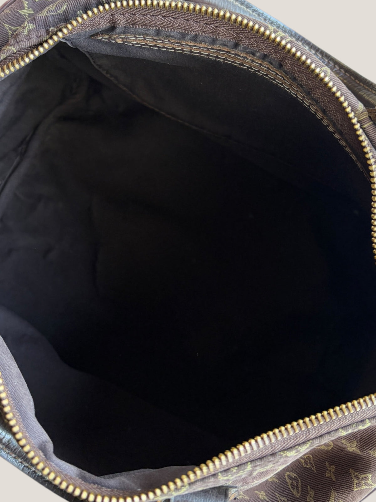 Louis Vuitton Speedy 30 Mini Lin