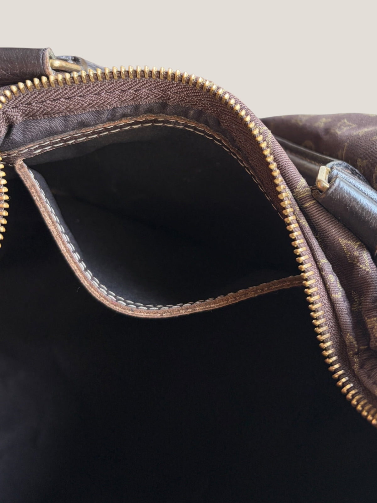 Louis Vuitton Speedy 30 Mini Lin