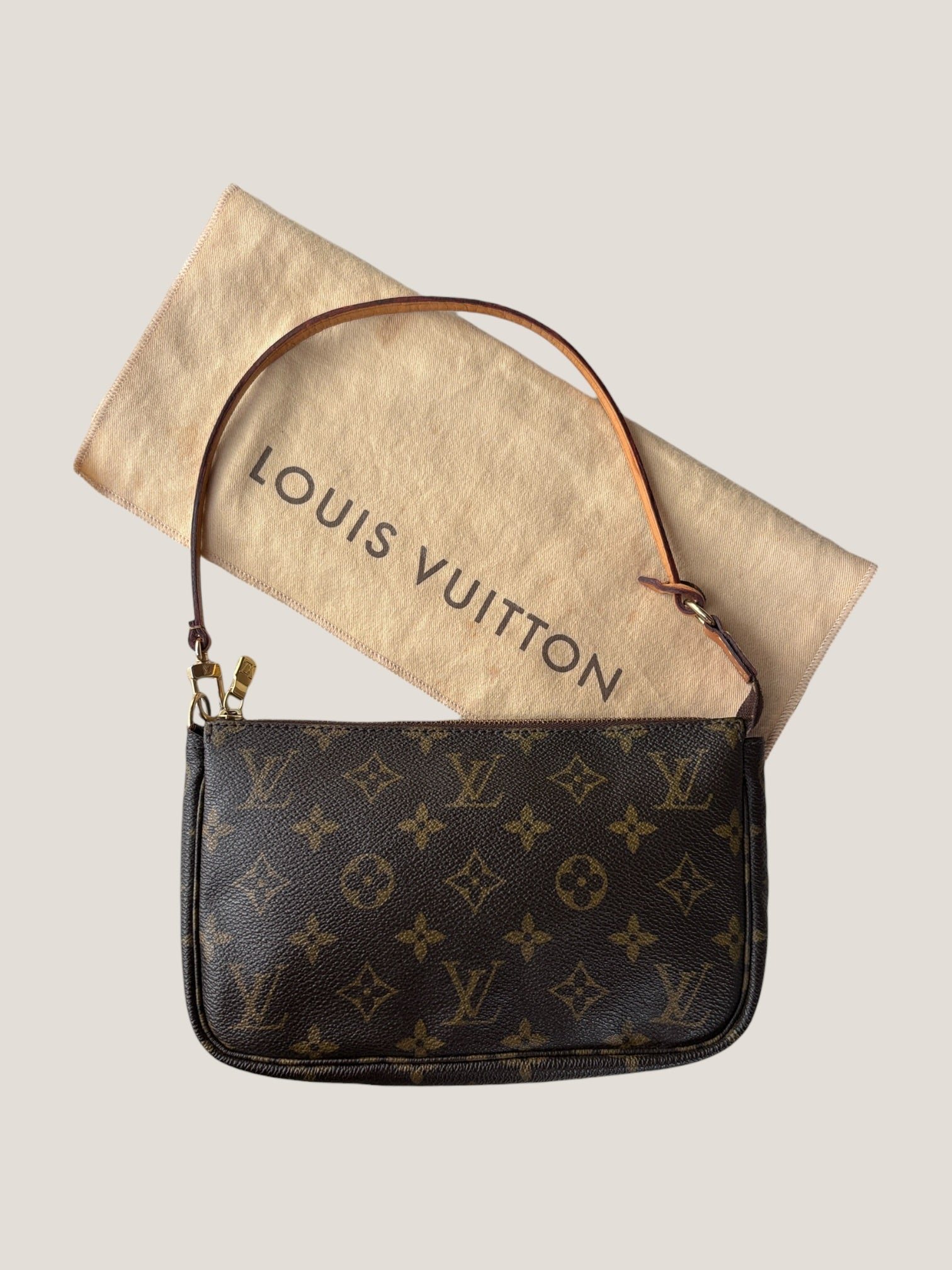 Louis Vuitton Pochette Accessoires