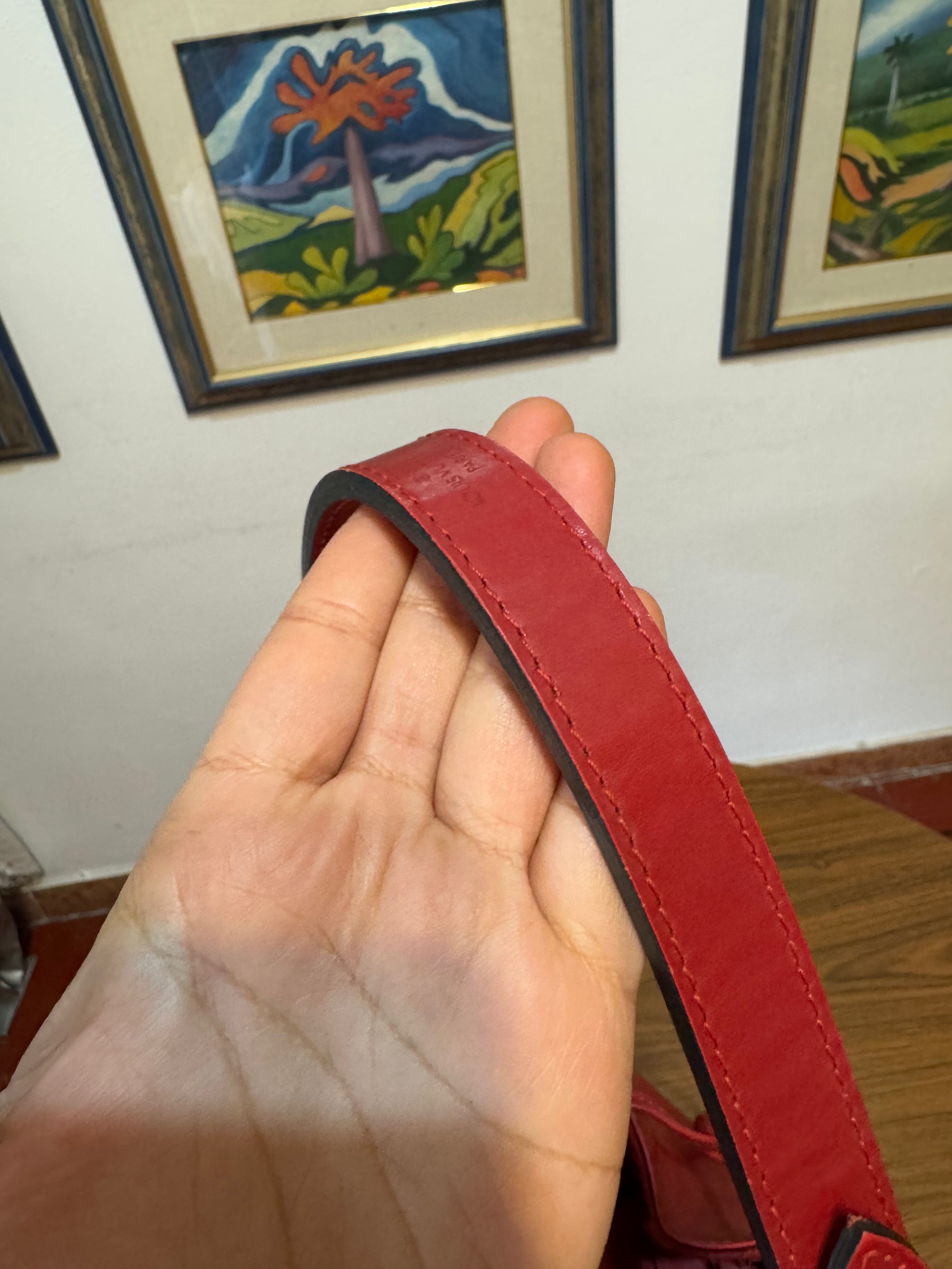 Louis Vuitton Noé in pelle Epi