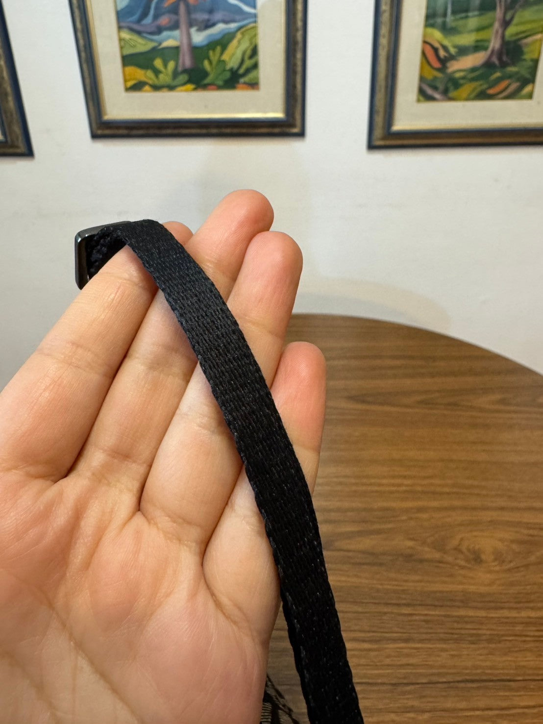 Dior monogram pochette