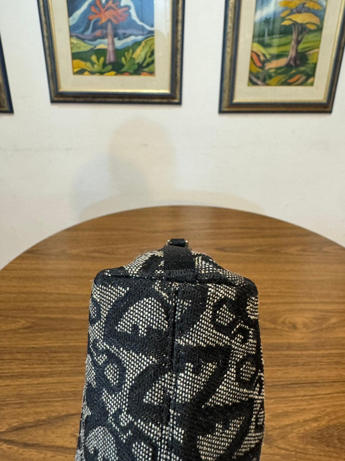 Dior monogram pochette