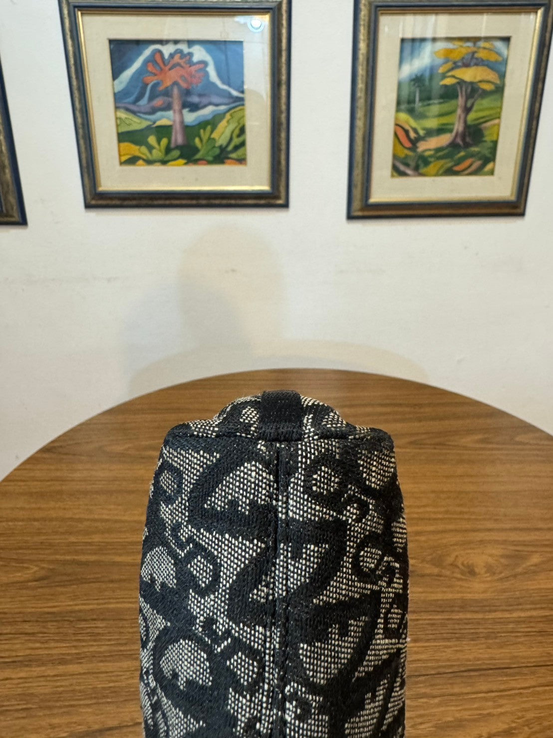 Dior monogram pochette