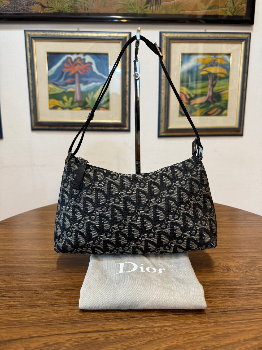 Dior monogram pochette