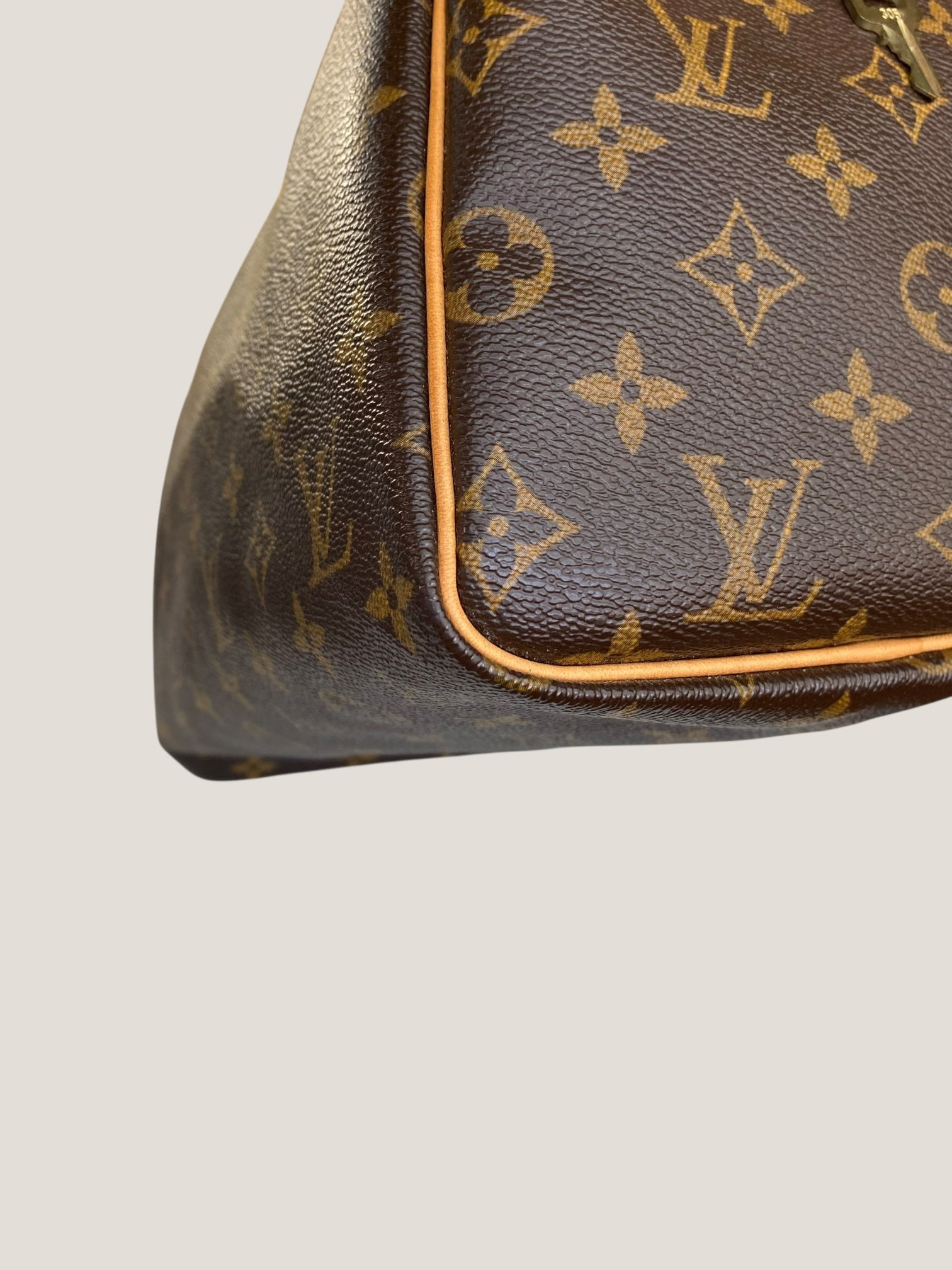 Louis Vuitton Speedy 30 in tela Monogram