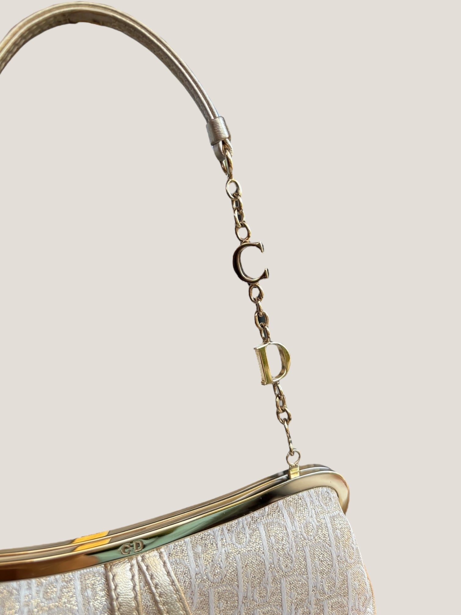 Christian Dior Mini Saddle