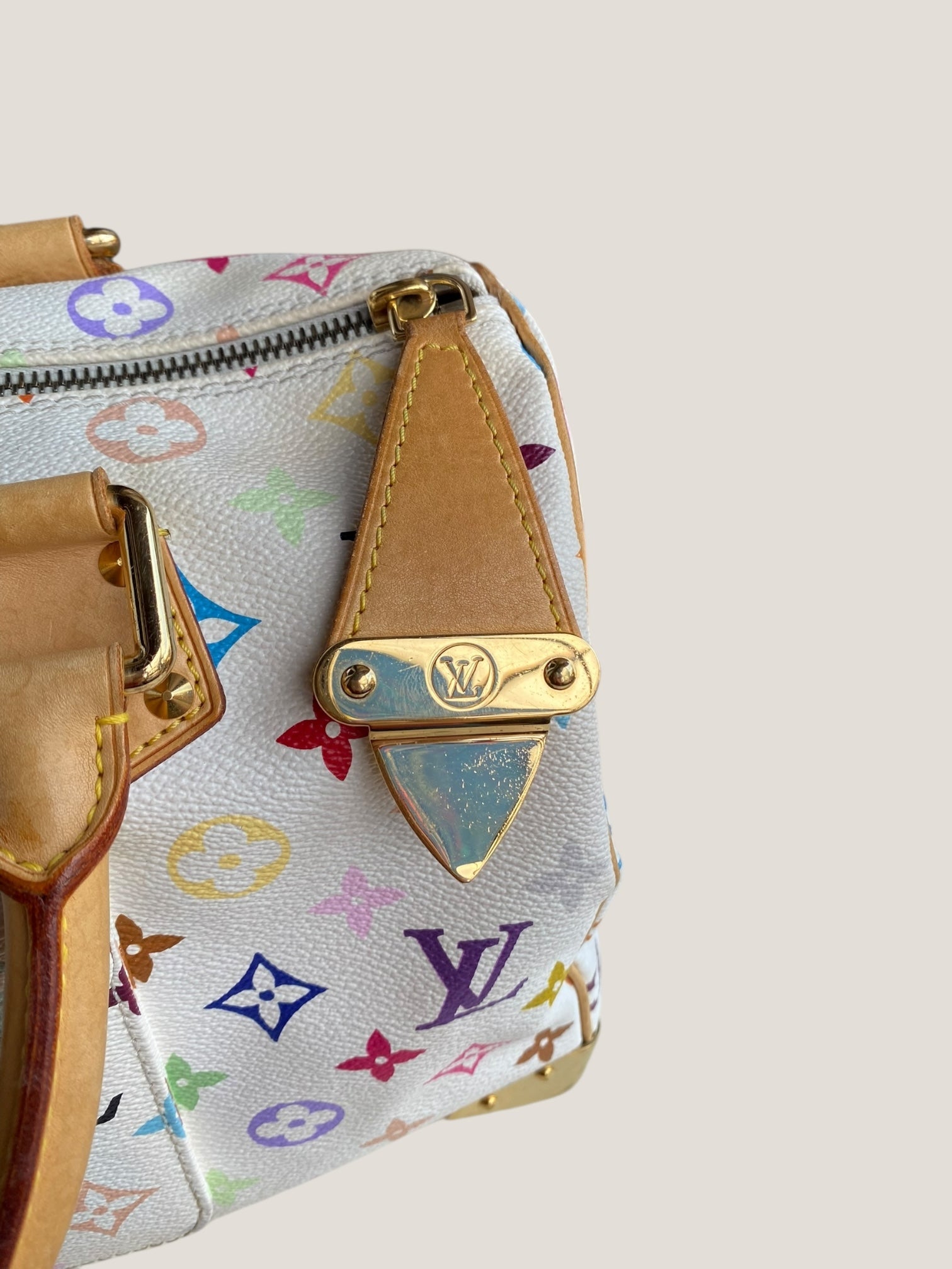 Louis Vuitton Speedy 30 Multicolor
