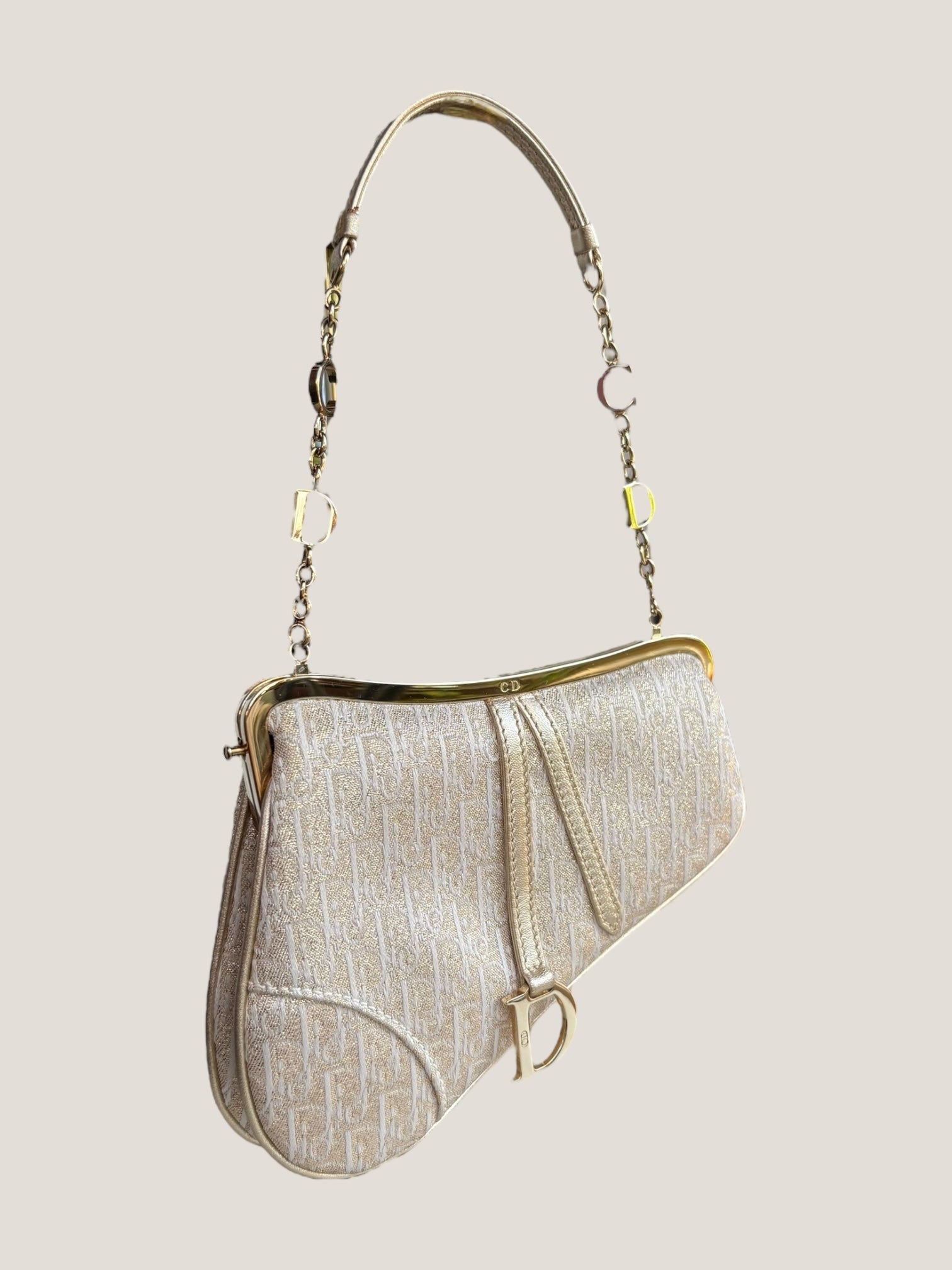 Christian Dior Mini Saddle