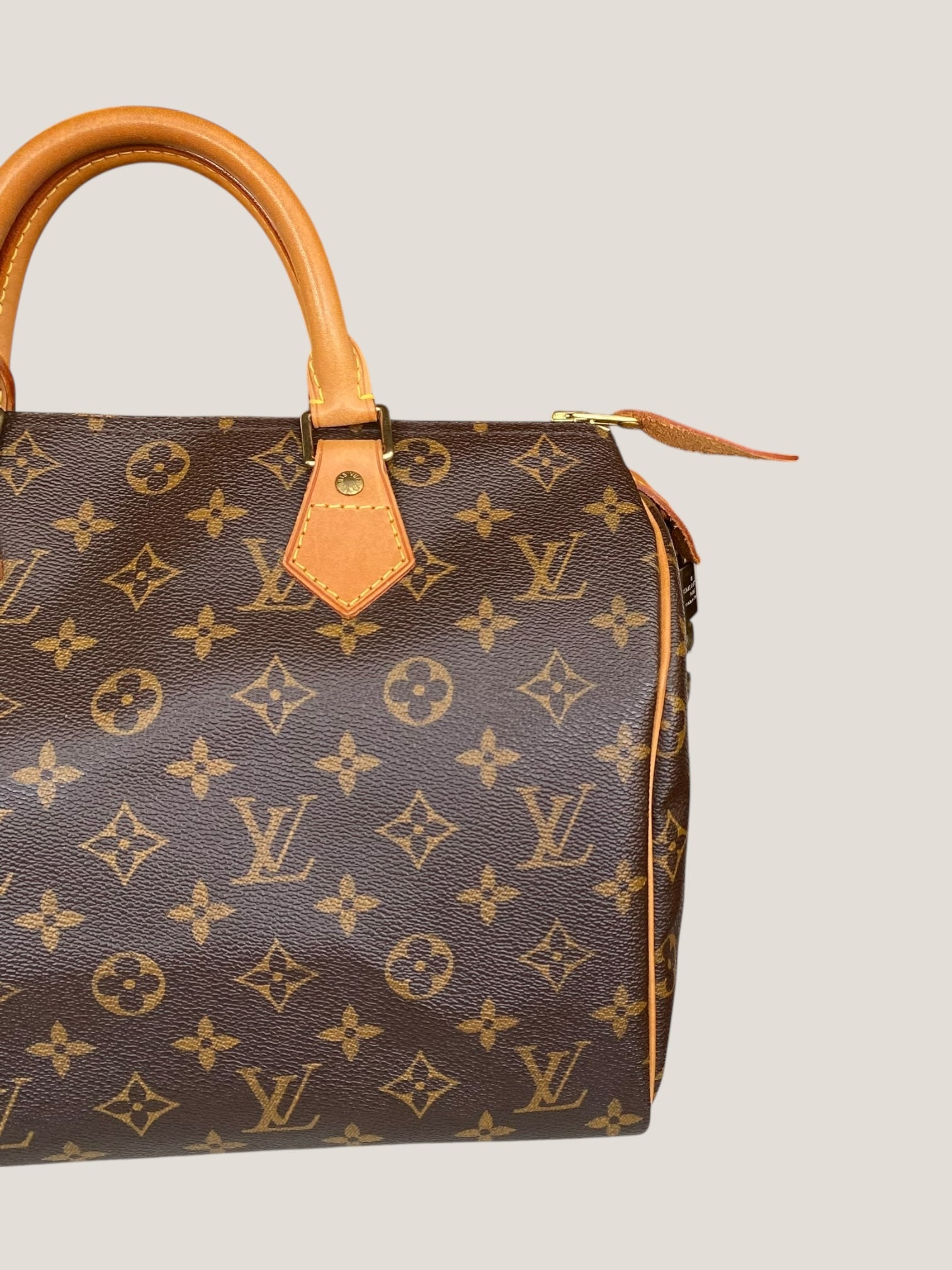 Louis Vuitton Speedy 30 in tela Monogram
